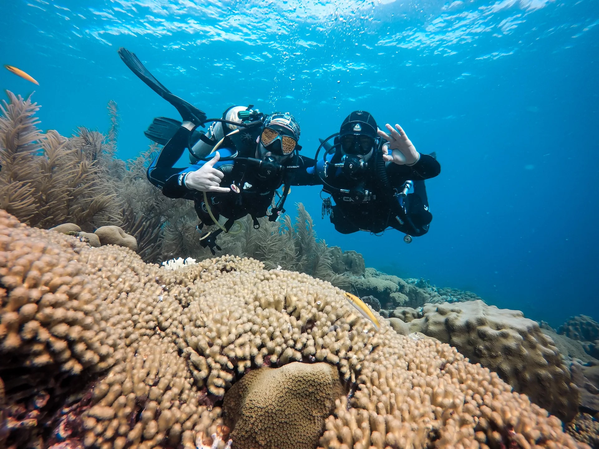 Uncover Bonaire's Wonders: Discover Scuba Diving with PADI Center