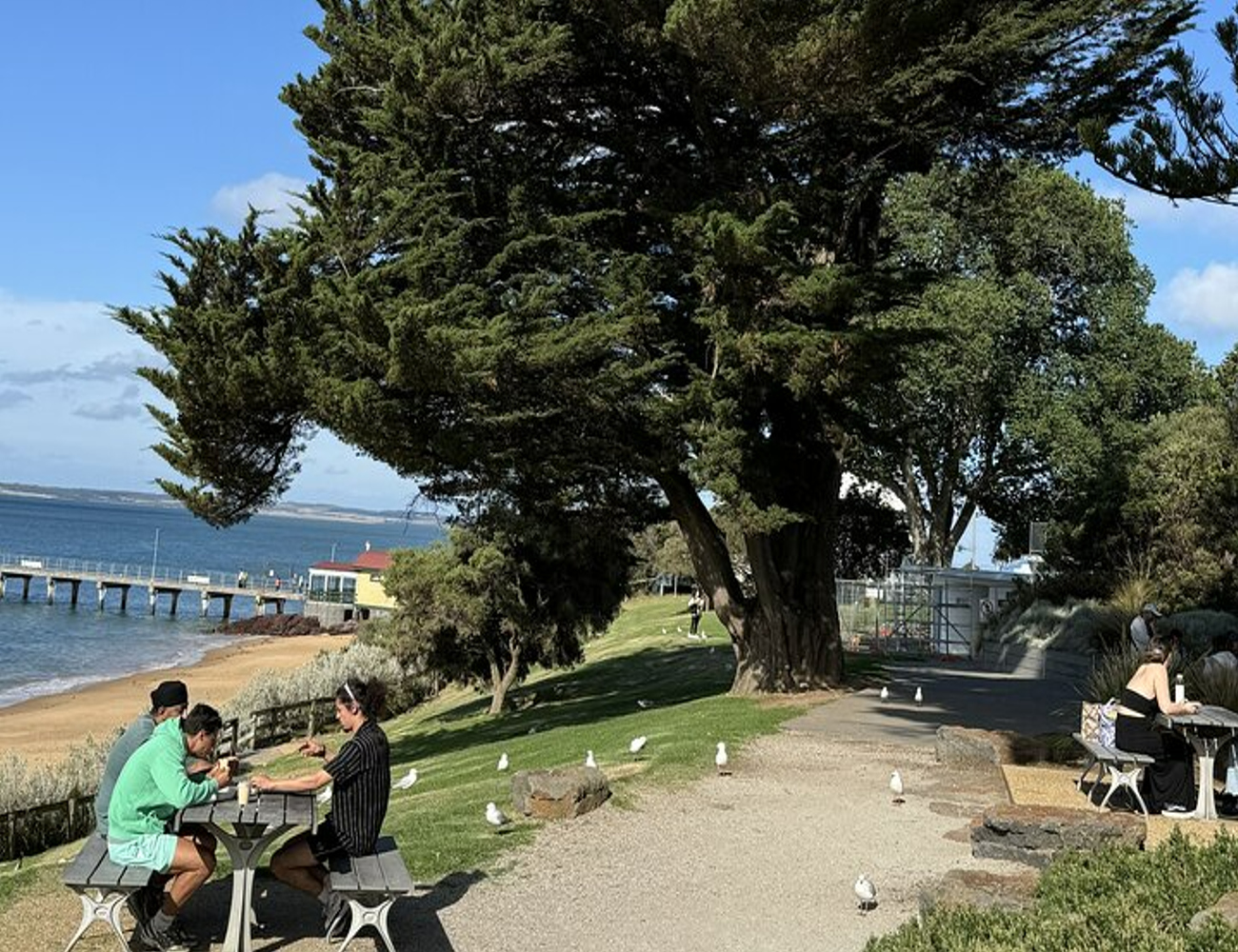 墨爾本帕芬比利蒸汽火車和菲利普島私人旅遊