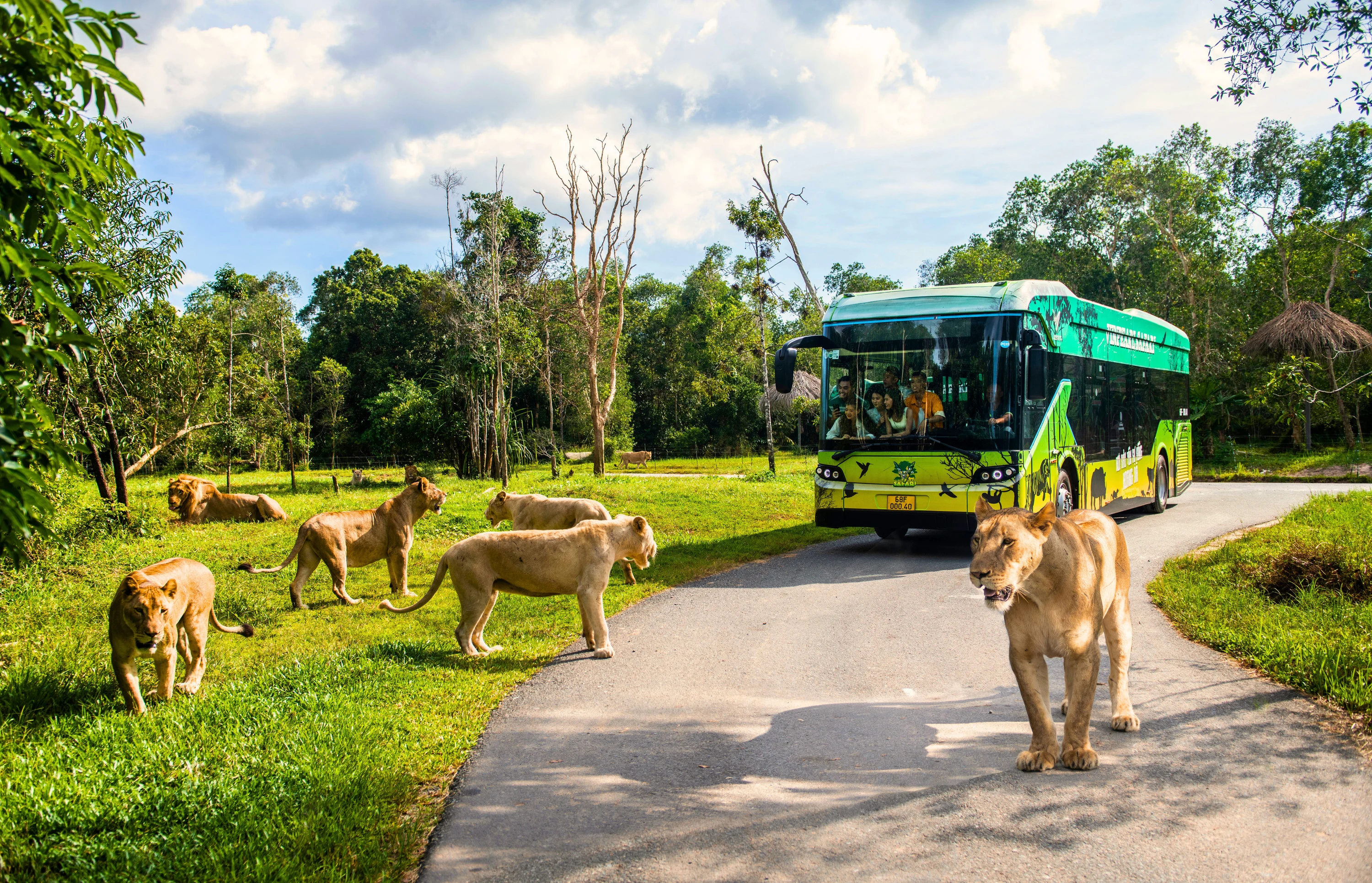 Vinpearl Safari Phu Quoc Semi Wild Animal Conservation Park Ticket