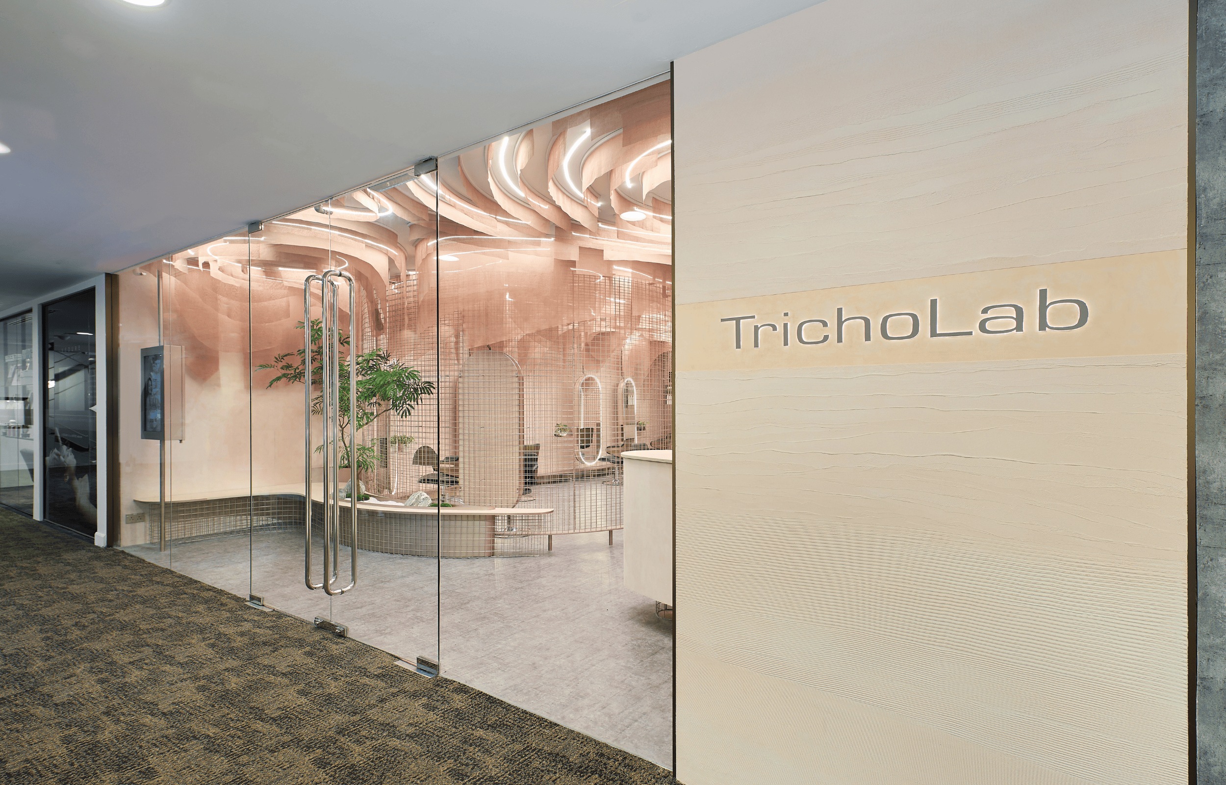 TrichoLab 頂級頭皮護理體驗