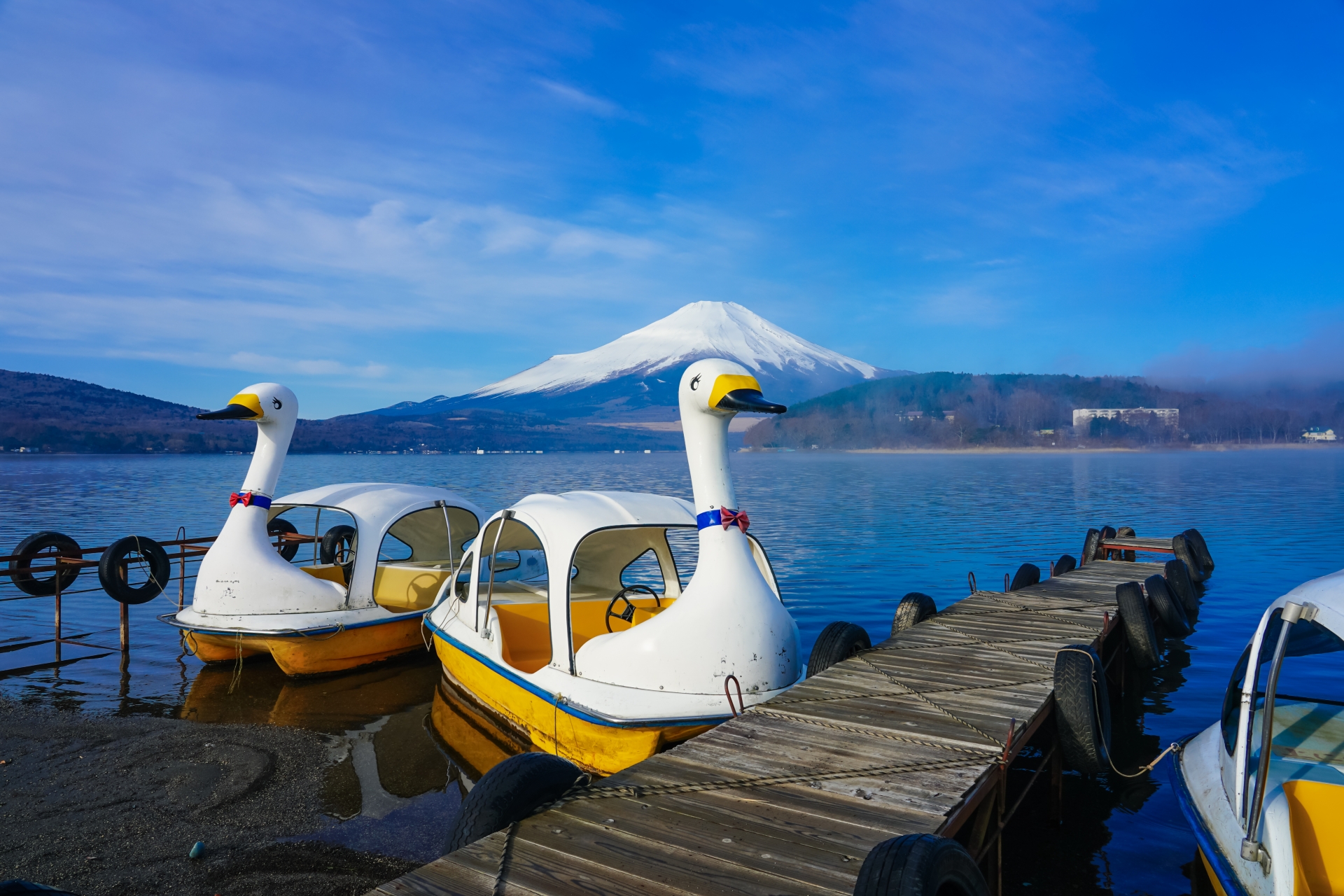 造型可愛的天鵝船，從湖面角度欣賞富士山與周圍自然風景。輕鬆有趣，特別適合情侶與家庭旅客，體驗不同視角的富士山之美。