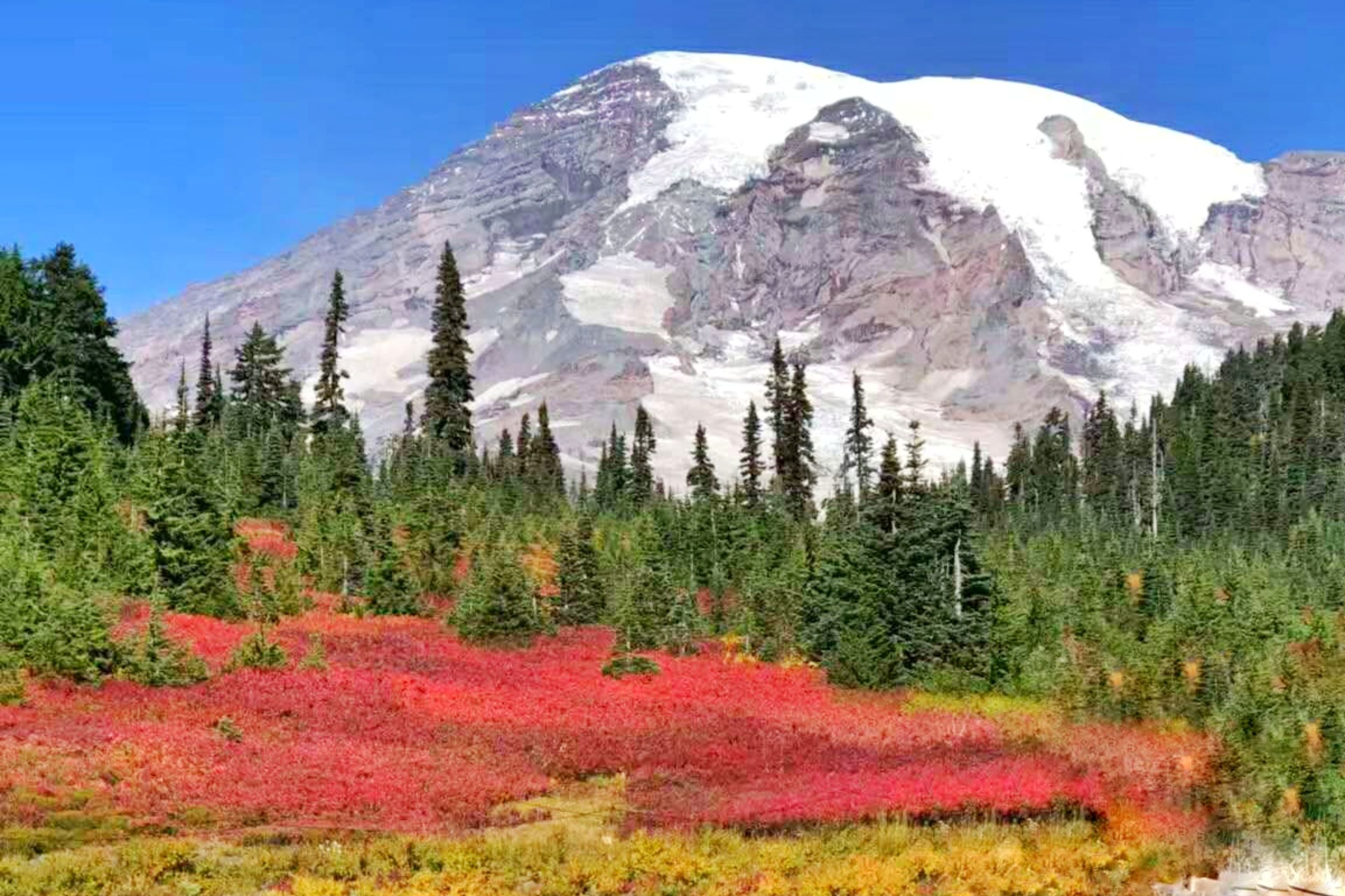 Mount Rainier National Park Day Tour from Seattle