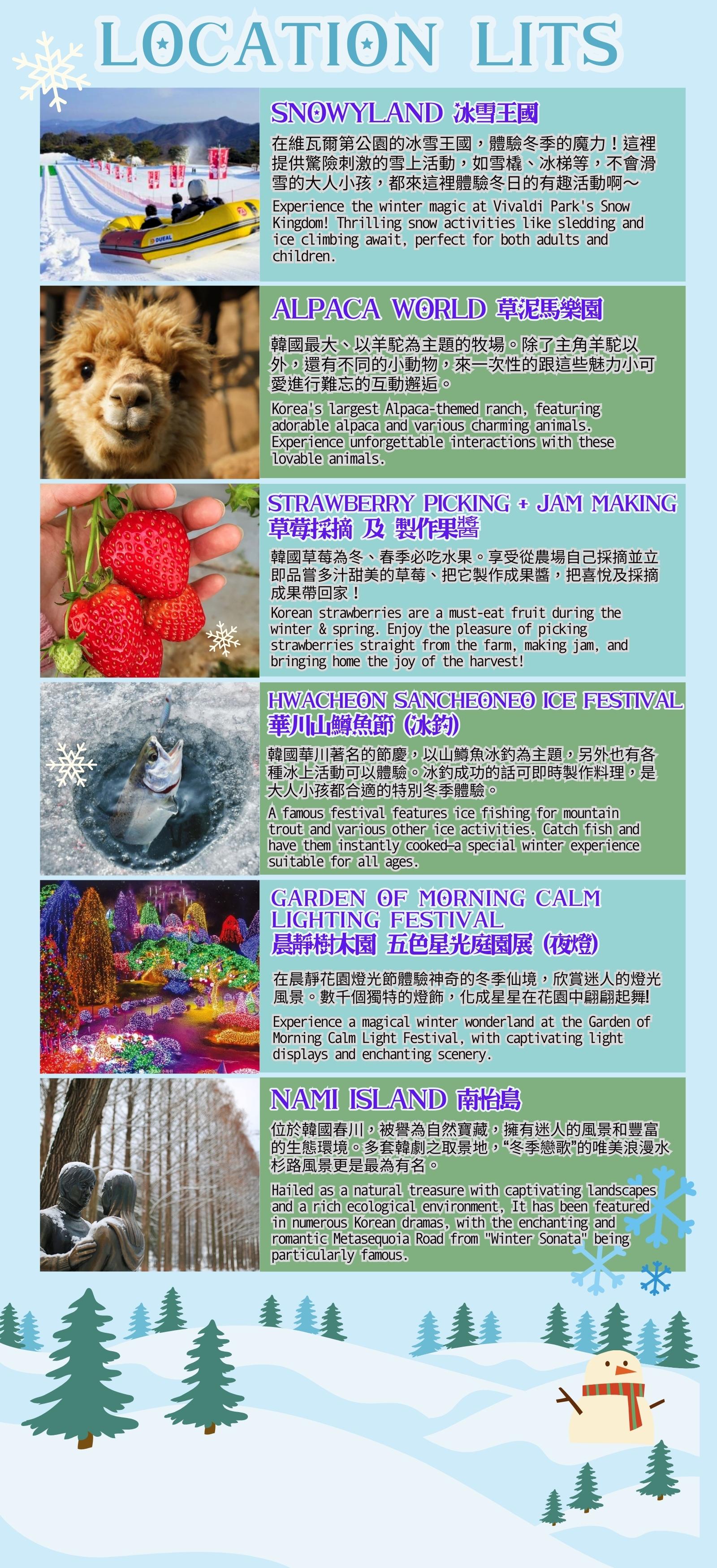 Vivaldi Snowyland & Nami & Alpaca & Strawberry Day Tour from Seoul