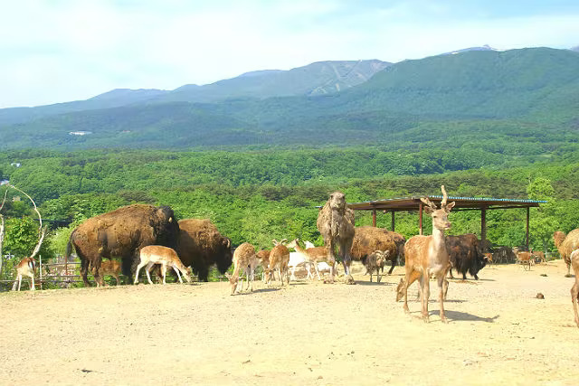 Tohoku Safaripark Admission Ticket