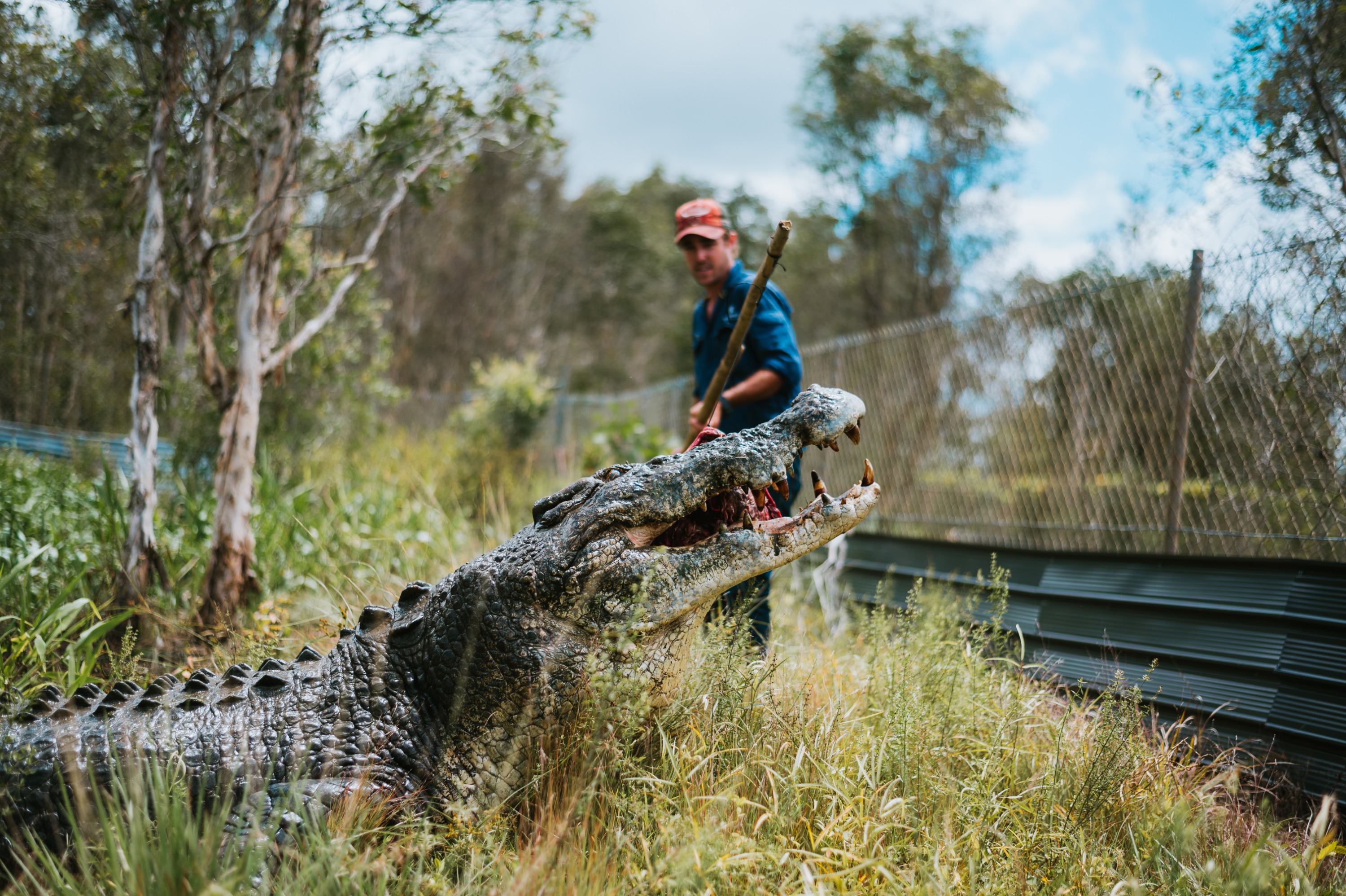 2D1N Ultimate Safari Experience with Luxury Glamping from Darwin