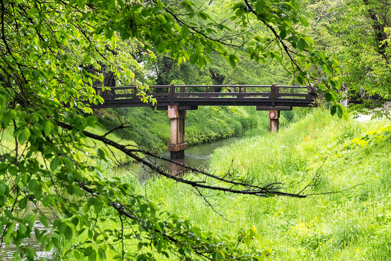 富士山探索之旅-新倉山淺間公園·天梯小鎮·忍野八海·河口湖大石公園·西湖療愈里根場一日遊