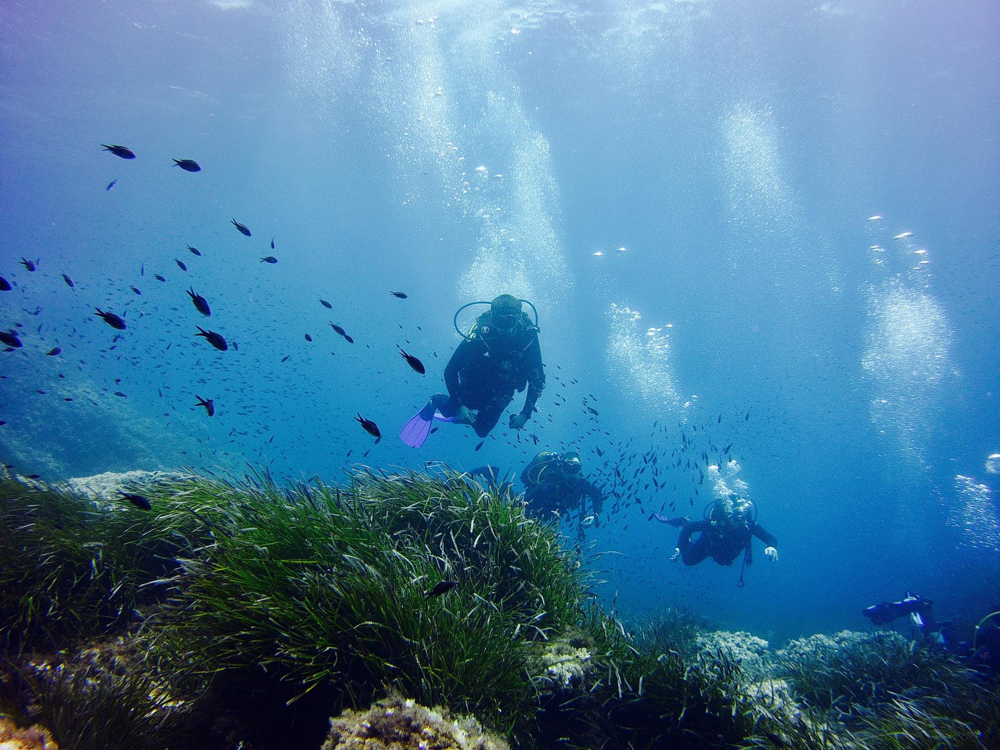 梅諾卡島海底：與 PADI 5* 中心一起探索水肺潛水