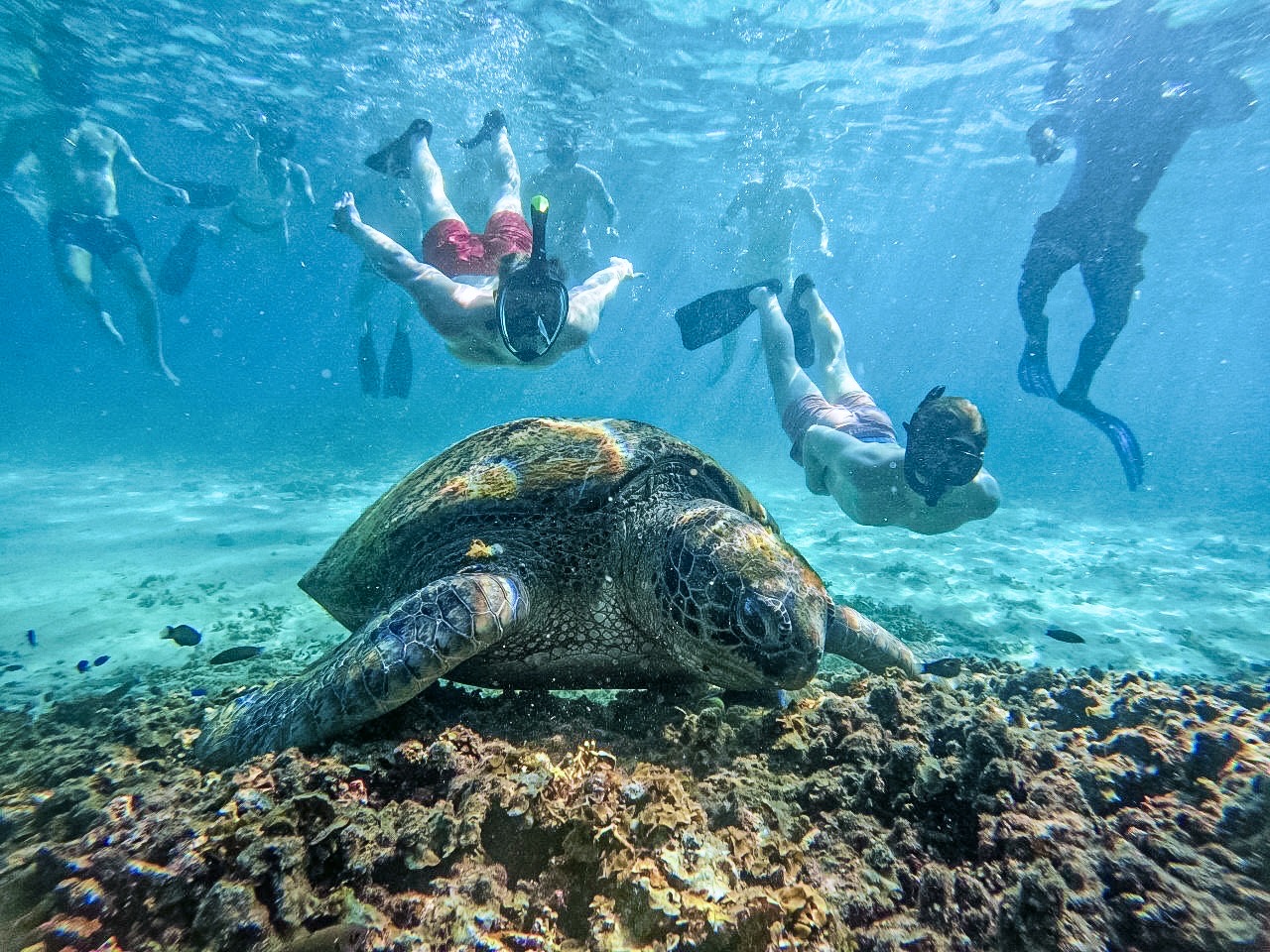 From Koh Tao: Snorkeling to Hidden Bays & Koh Nangyuan with Lunch