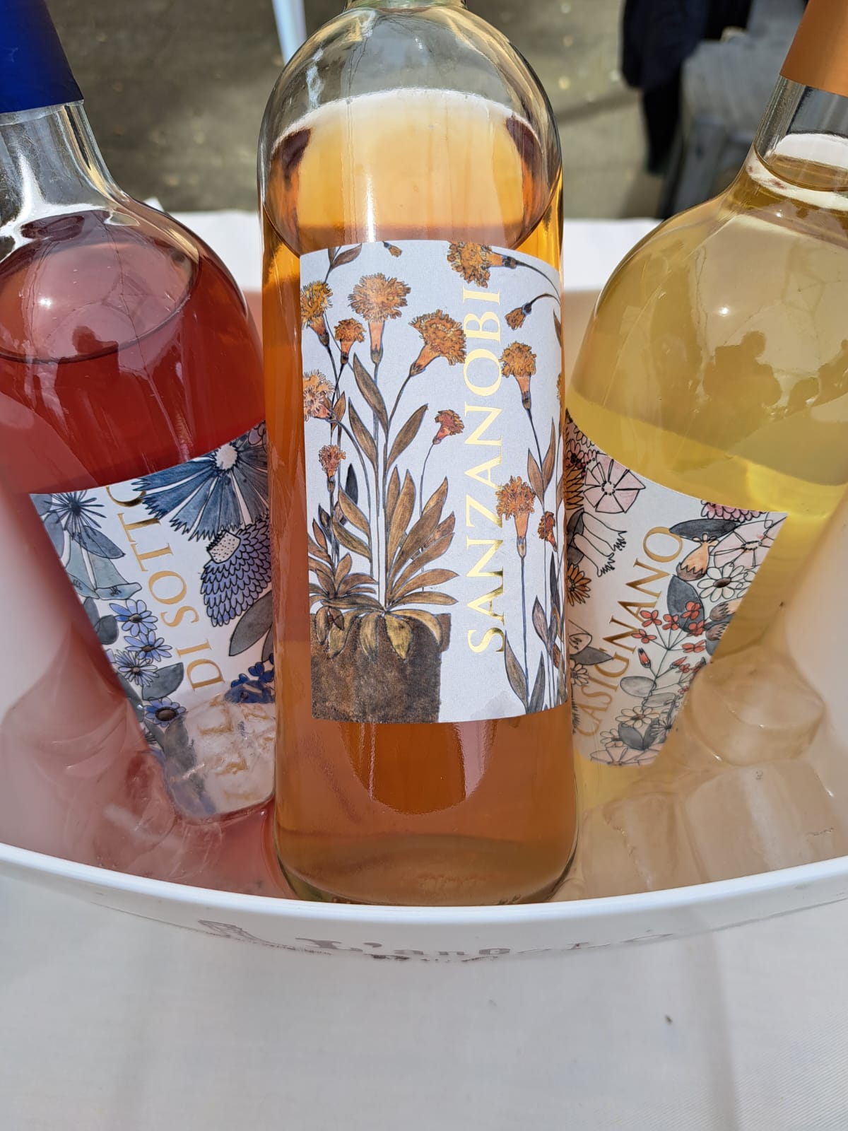 Tuscan Bites & Sips: Discover Tuscany Through Wine