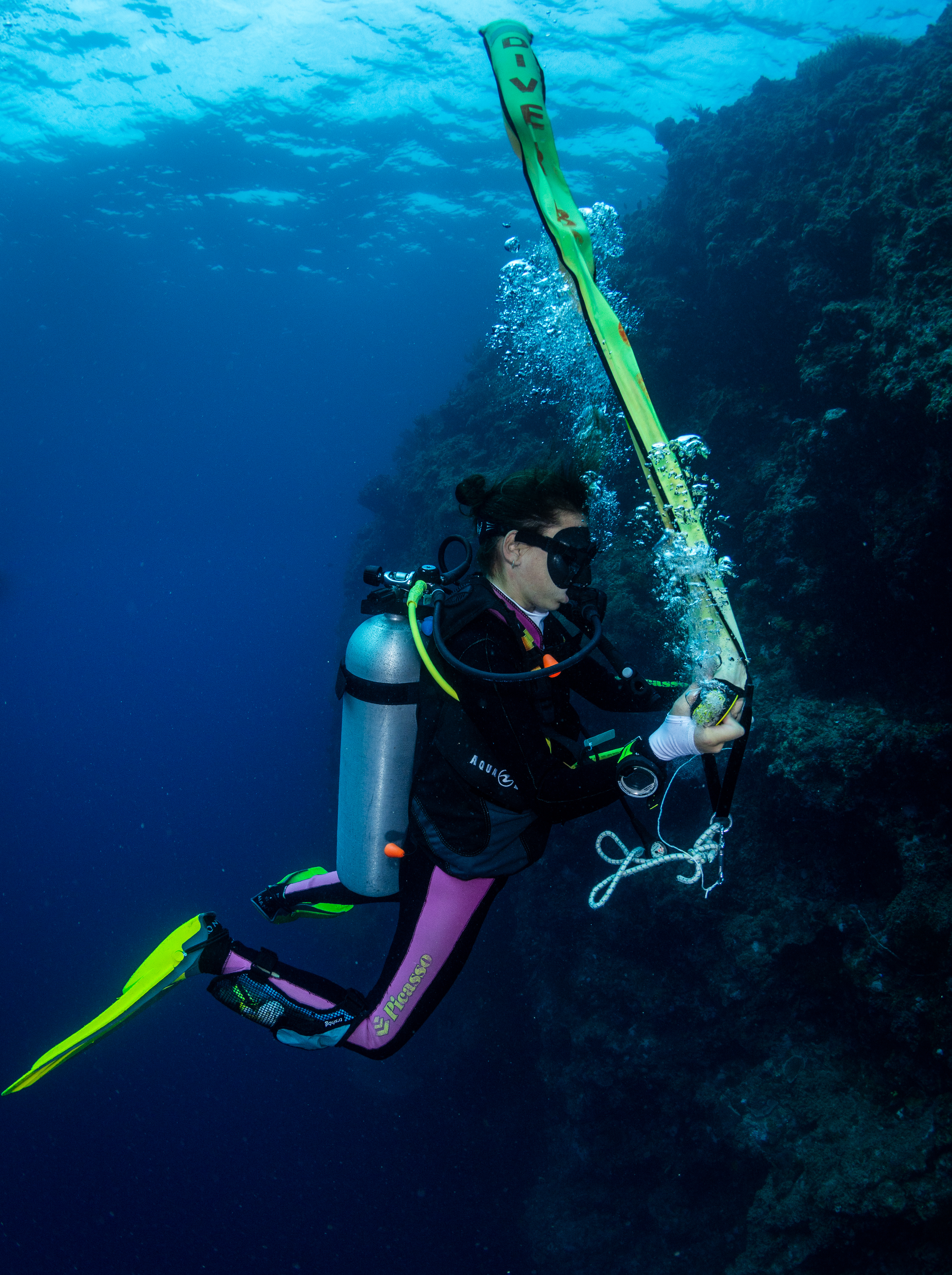 峇里島 PADI 潛水中心進階開放水域潛水員課程