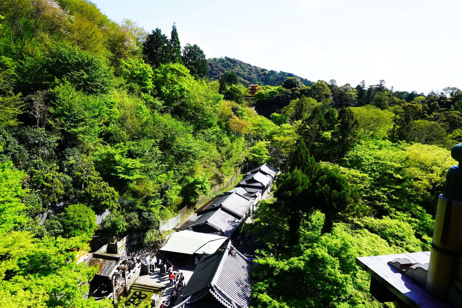 Kyoto Cultural Heritage Day Tour｜Kinkaku-ji Temple, Arashiyama, Sanjusangendo Temple, and Kiyomizu-dera Temple｜Optional Kobe Beef Shabu-shabu Lunch (Departing from Osaka and Kyoto)