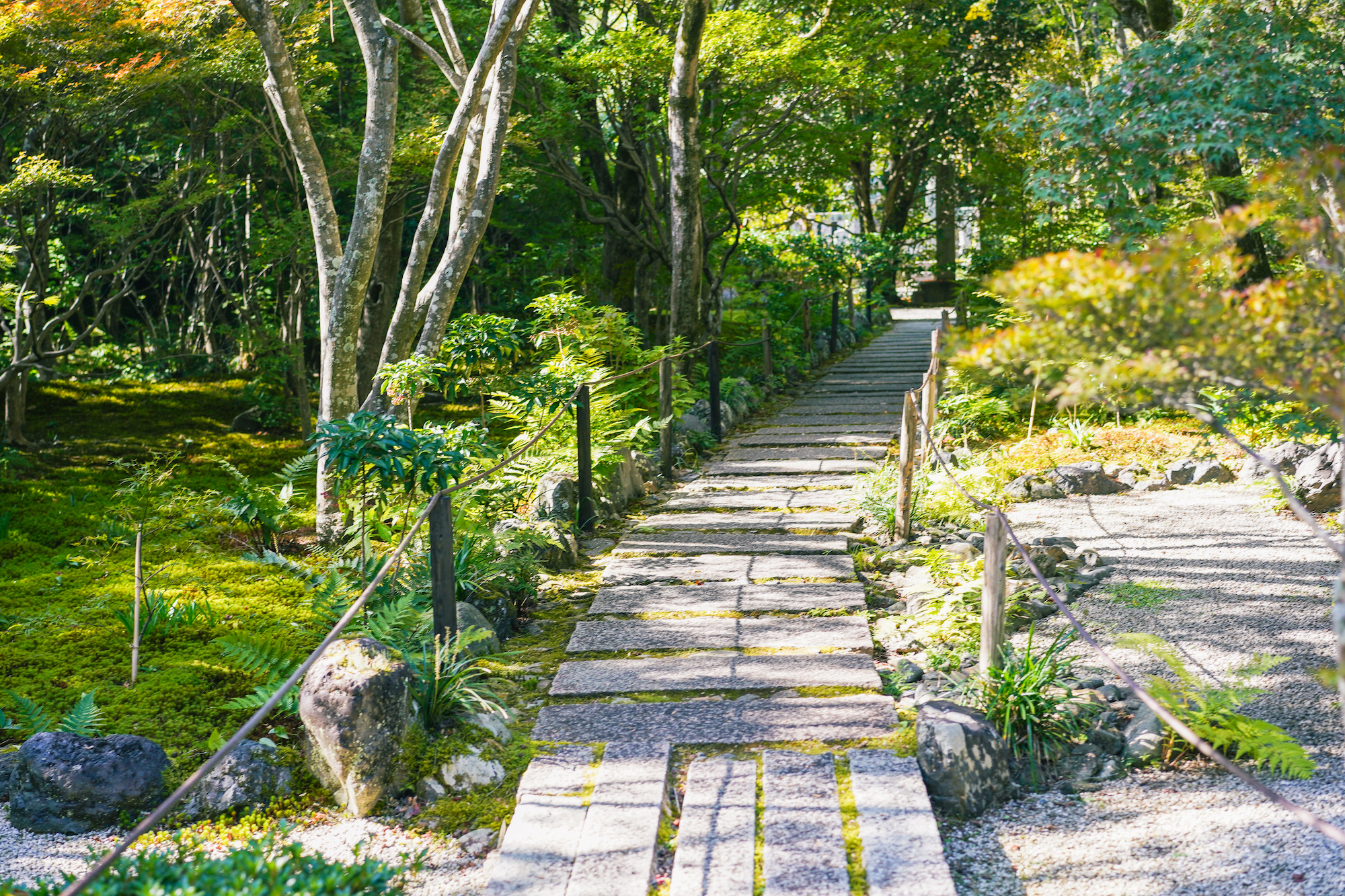 京都嵐山竹林 & 花園半日徒步之旅