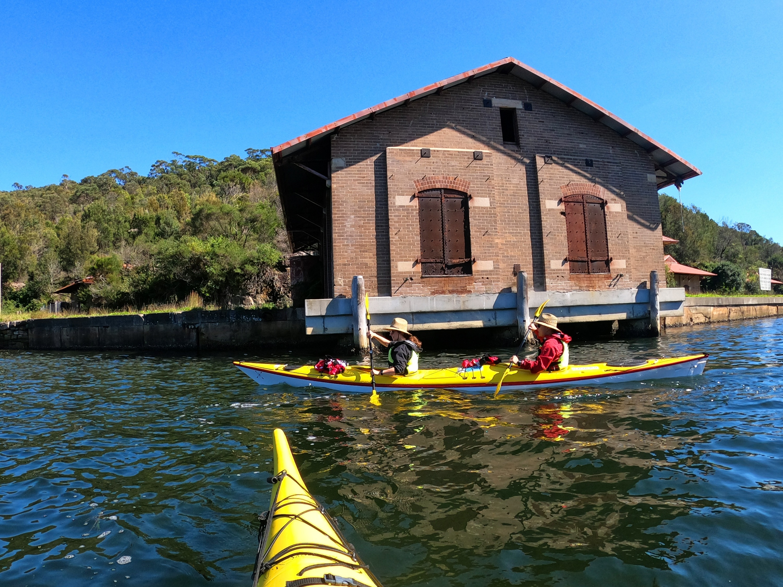 雪梨中港皮划艇生態之旅（Sydney Harbour Kayaks提供）