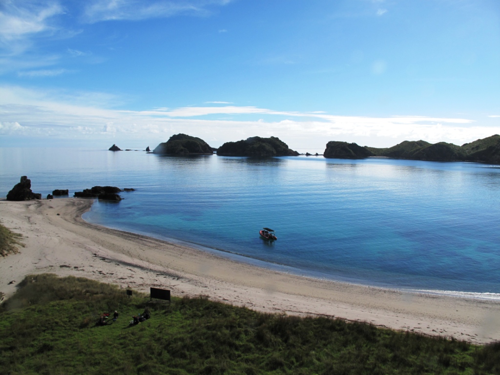 Rainbow Warrior Wreck & Reef in Paihia with PADI 5 Star Dive Resort