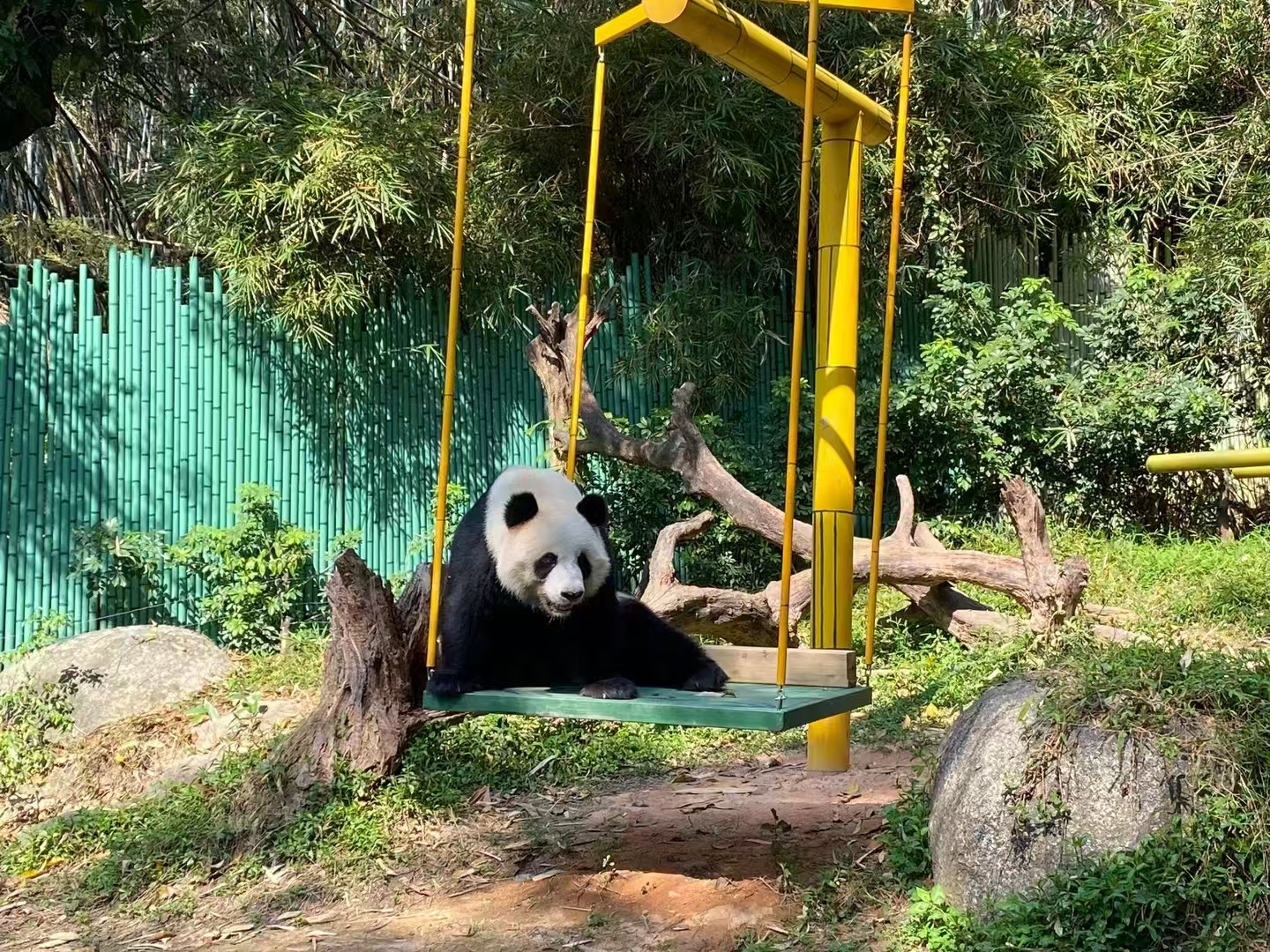 廣州長隆歡樂世界/動物世界旅拍