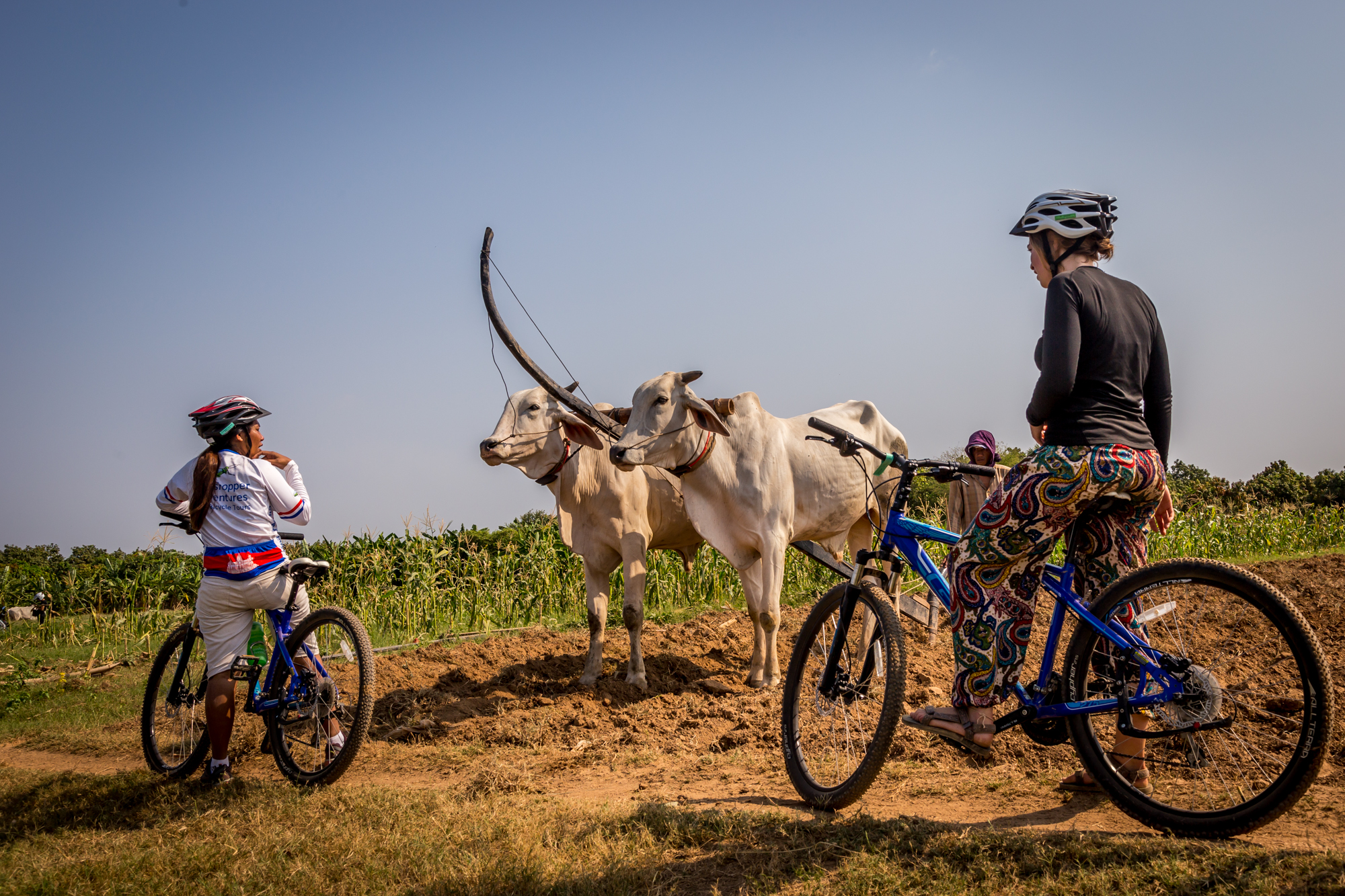 Mekong Island Cycling Tour from Phnom Penh