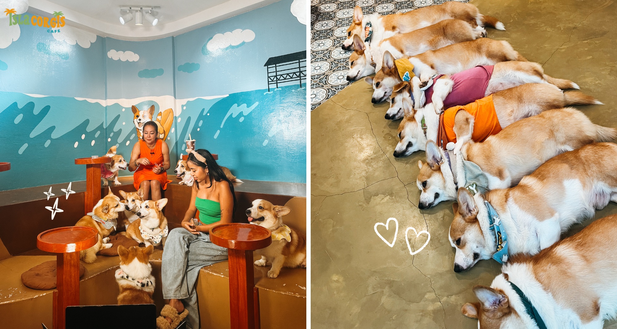 Isla Corgis Cafe Siargao