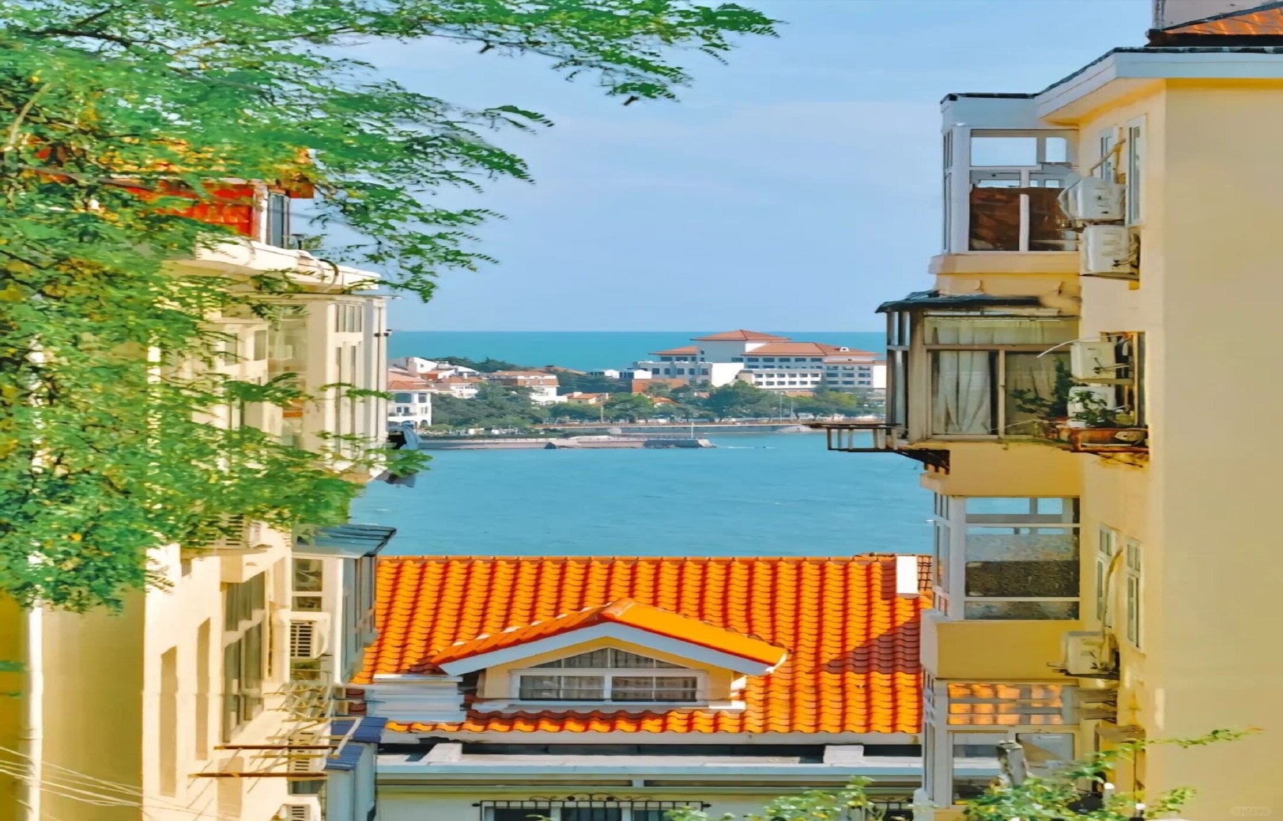 [Korean Guide] [Qingdao Travel] Private City Tour to Enjoy Both Day and Night in Qingdao