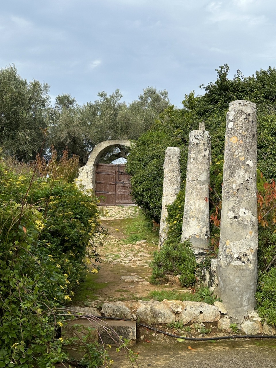 Image 5