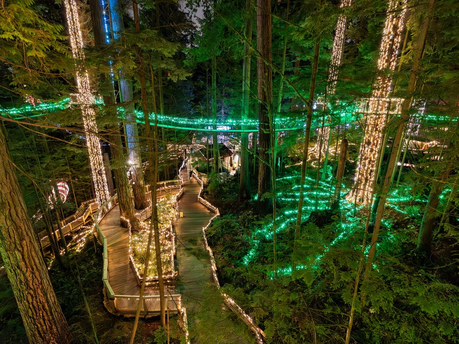 卡皮拉諾夜景：樹木閃爍，橋樑發光