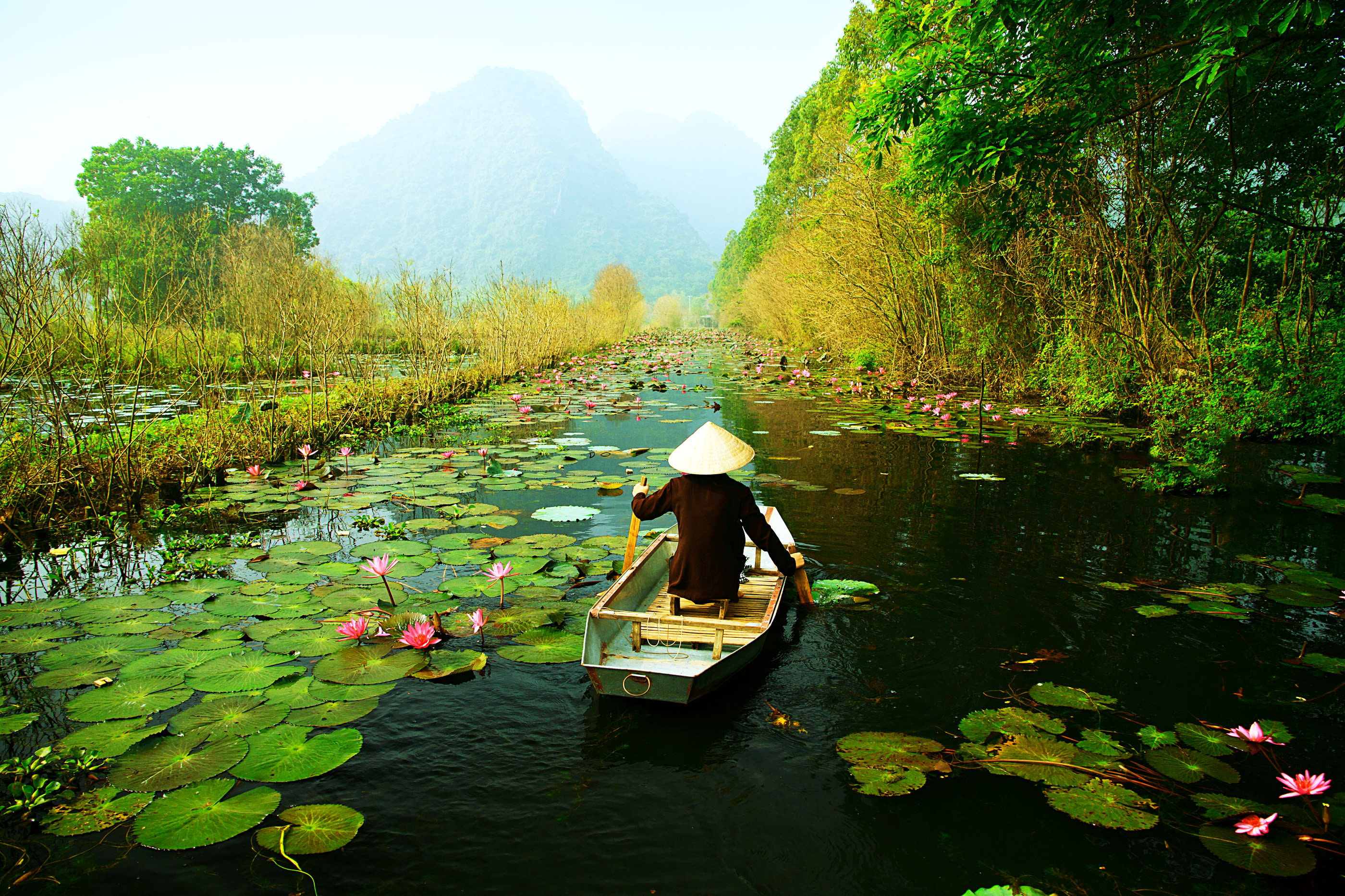 Best of Ninh Binh Day Tour: Hoa Lu, Trang An, Tam Coc, Hang Mua