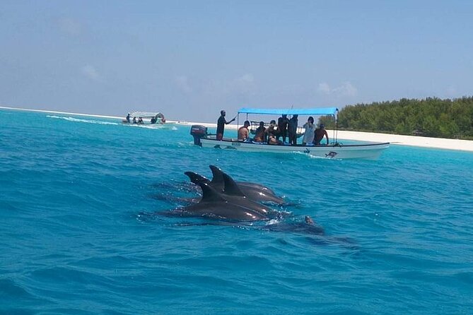 Mnemba島浮潛 & 海豚同遊體驗