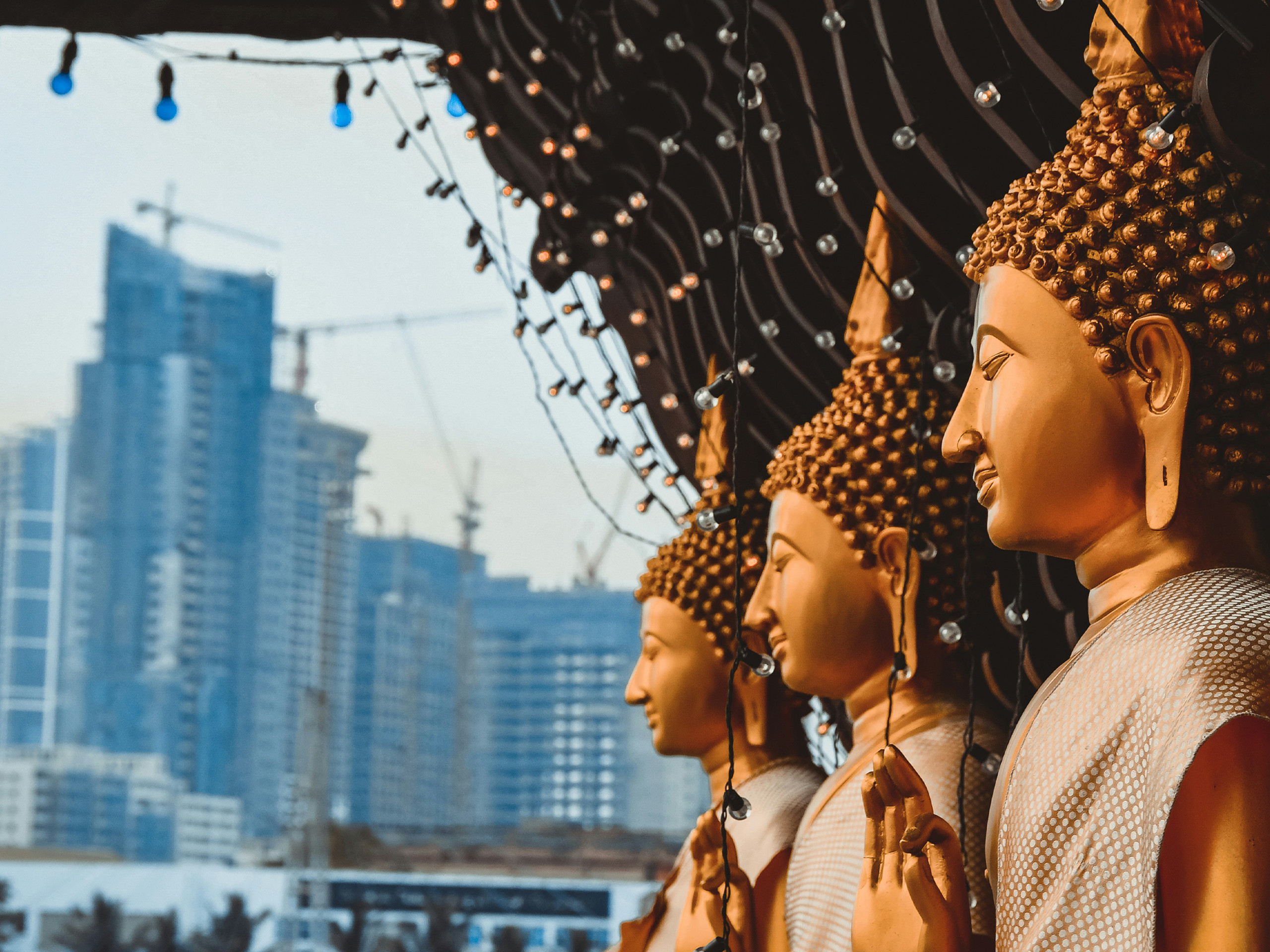 Negombo & Colombo Day Tour