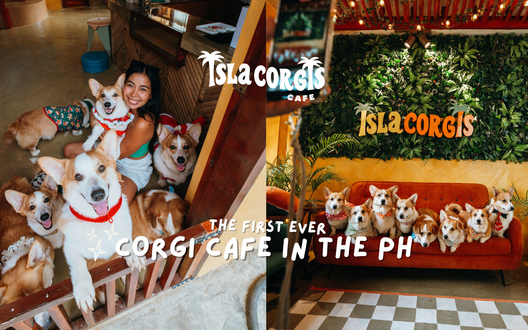 Isla Corgis Cafe Siargao