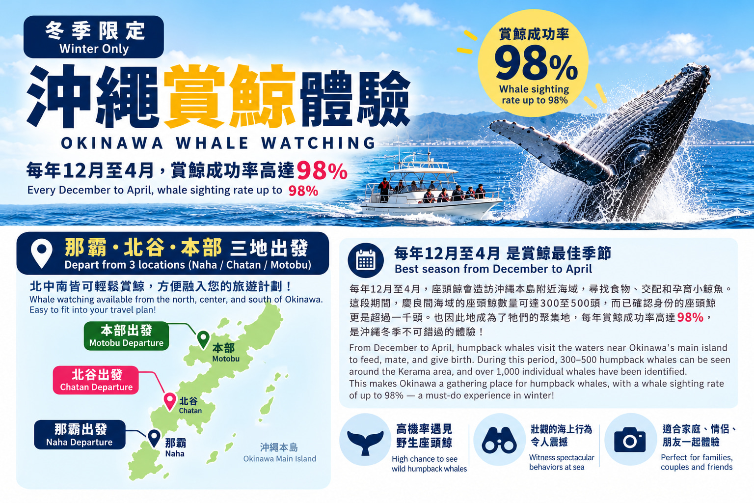 提供那霸、北谷、本部三地出發，方便融入旅遊計劃，北中南皆可輕鬆賞鯨