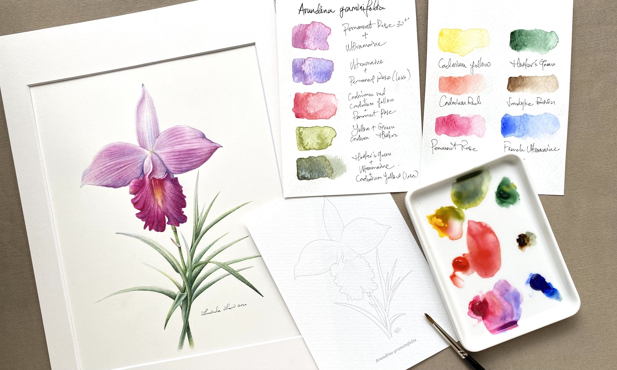 Botanical Art Watercolor Painting Class at Flower Dome, Hortus Cafe