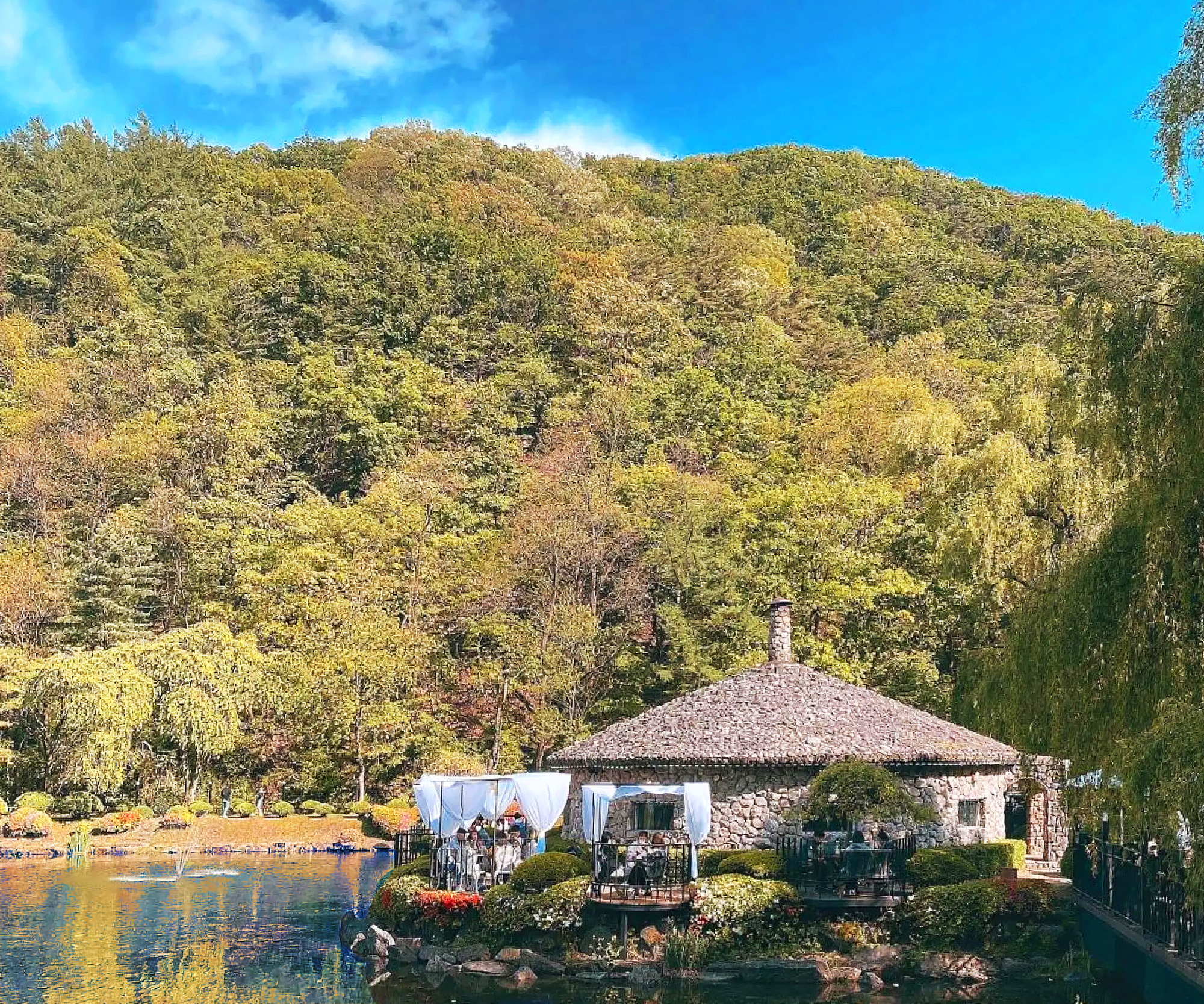 🏝️ 春天，山谷生機勃勃，綠意盎然，野花盛開。