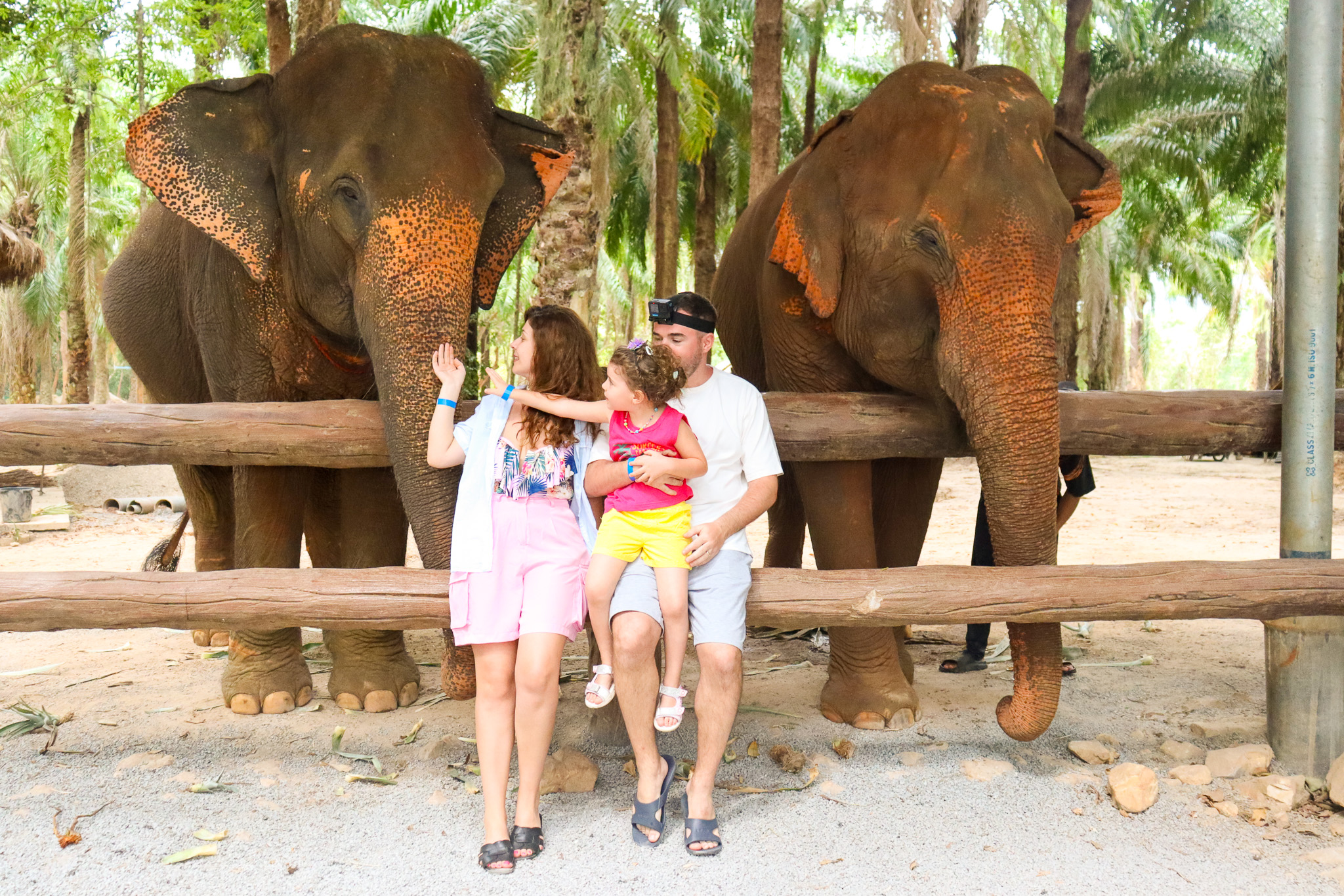 甲米大象保護區（Krabi Elephant Shelter）體驗