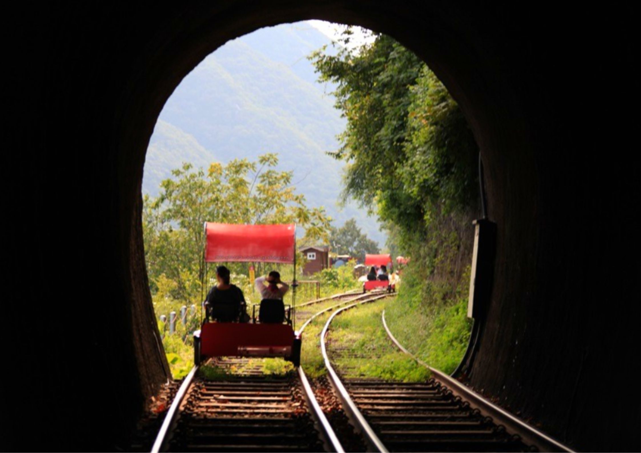 海棠鳥園 / 南怡島 / 鐵道自行車 / 晨靜樹木園 / 快樂草原農場