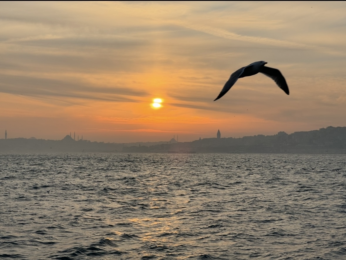 Istanbul's Beyond Continents: 3 Hour Guided Bosphorus Cruise & Asian