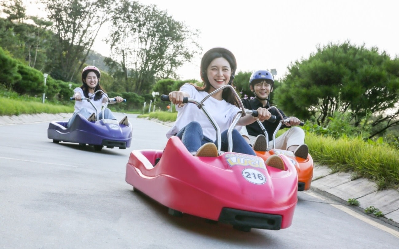 Ganghwa Luge & Joyang Textile Discovery Day Tour