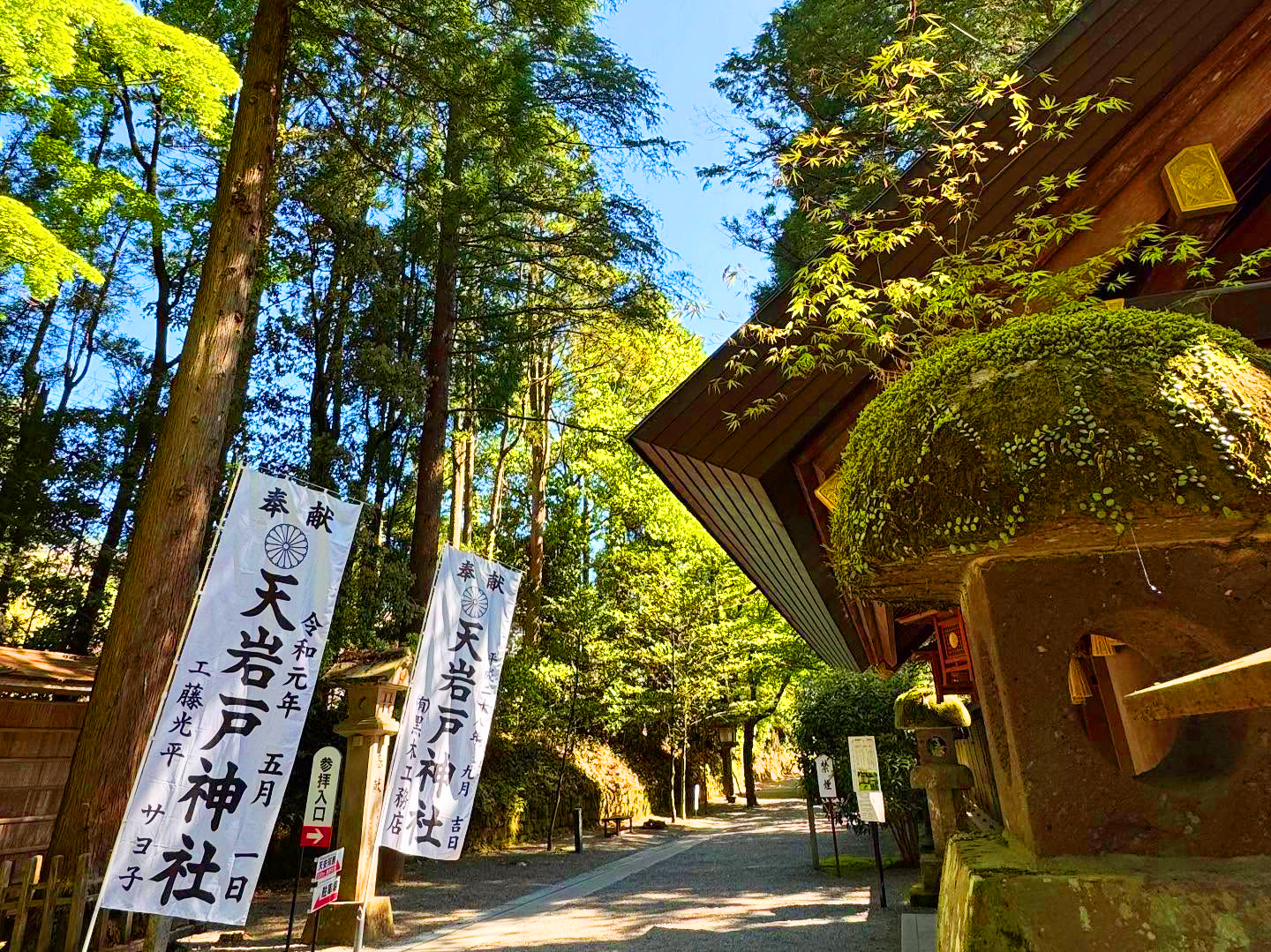 九州峽谷列車體驗｜高千穗・天安河原・天巖戶神社・天空小火車・一日往返