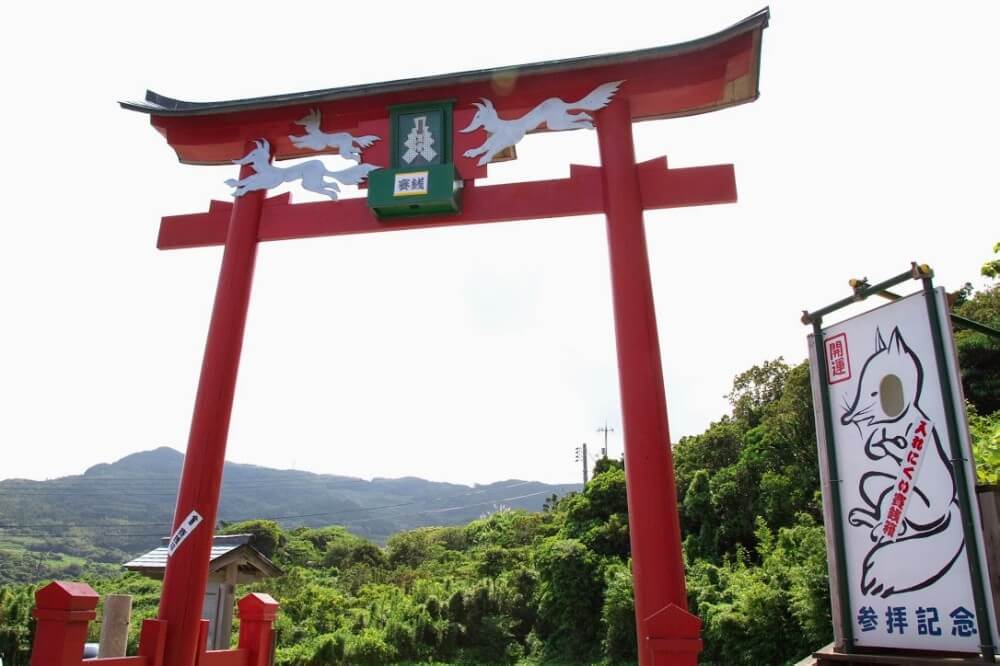 九州｜唐戶市場＆元乃隅神社＆皿倉山纜車一日遊（福岡出發）