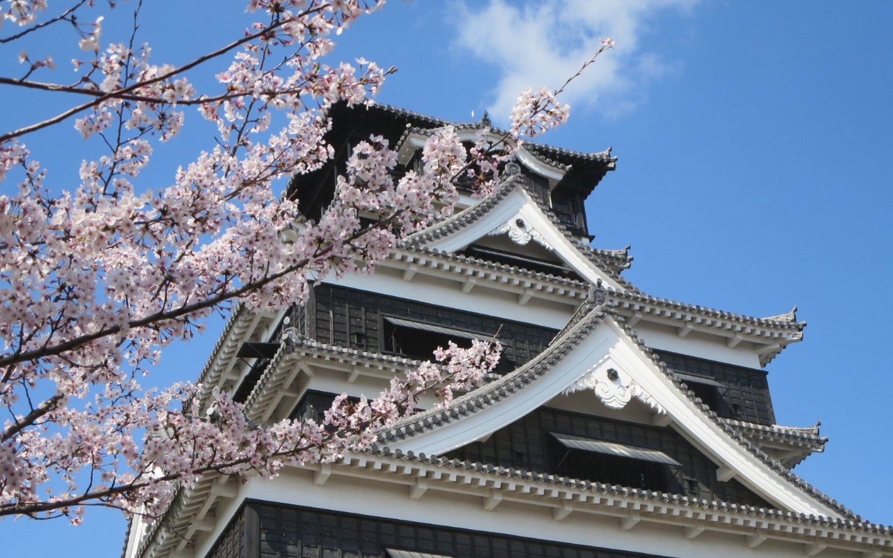 One-day tour of Kumamoto Castle, Mount Aso, and Kusasenri