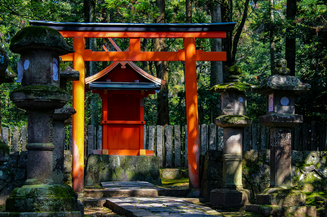 【奈良宇治一日遊】平等院・源氏物語博物館・宇治天然溫泉源氏之湯 ・奈良公園・東大寺・春日大社 | 4-9人小團（可選大阪或京都出發）