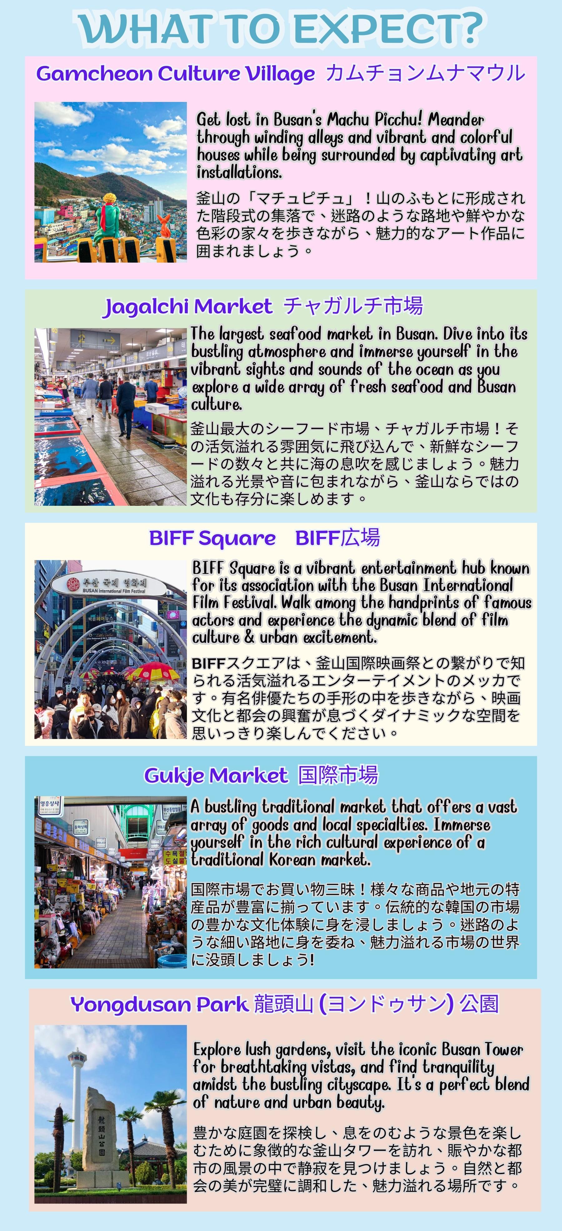 釜山徒步探索之旅：甘川文化村＆國際市場＆札嘎其魚市場＆釜山塔