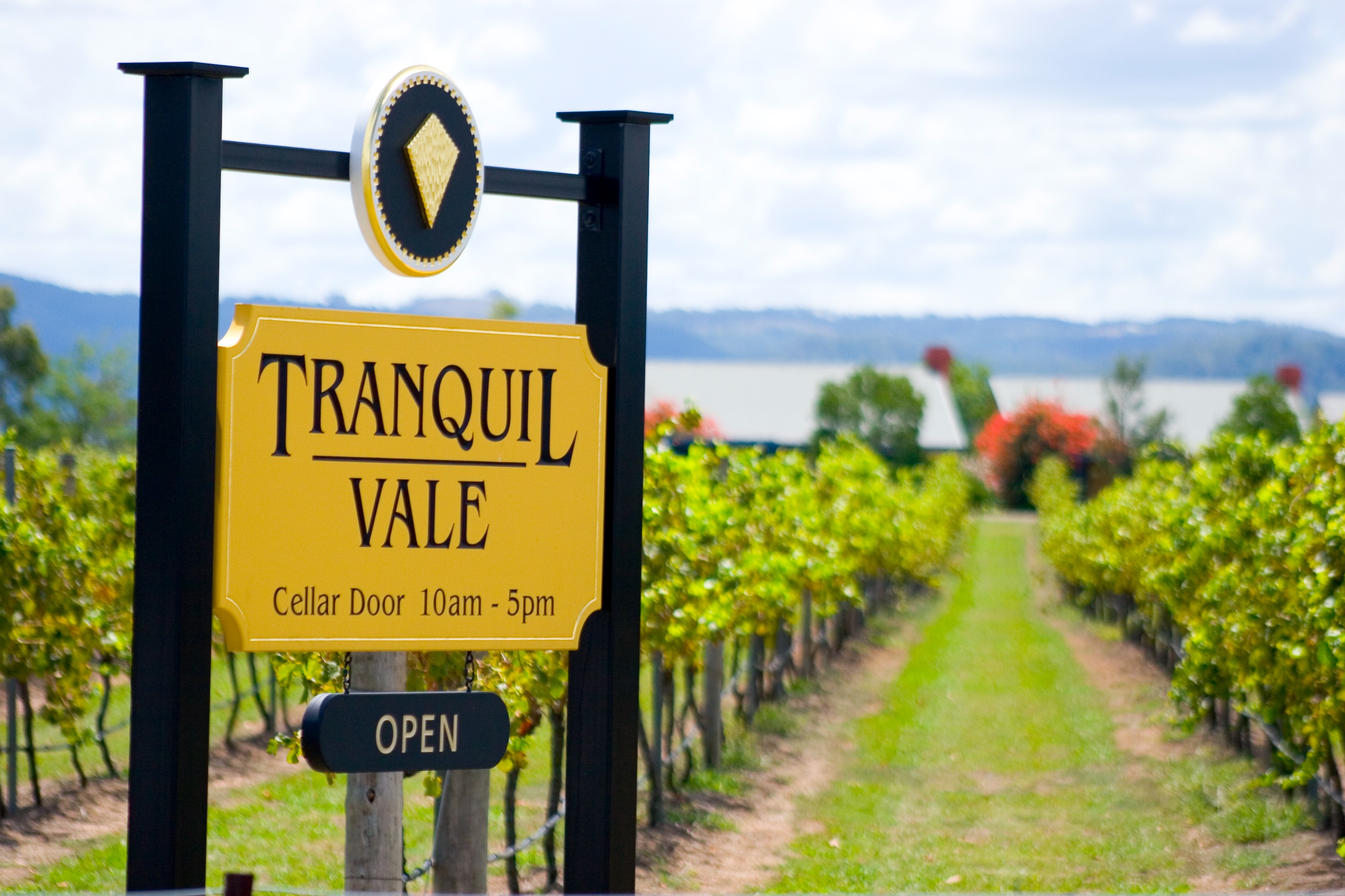 獵人谷 Tranquil Vale Vineyard 葡萄園酒莊品酒之旅