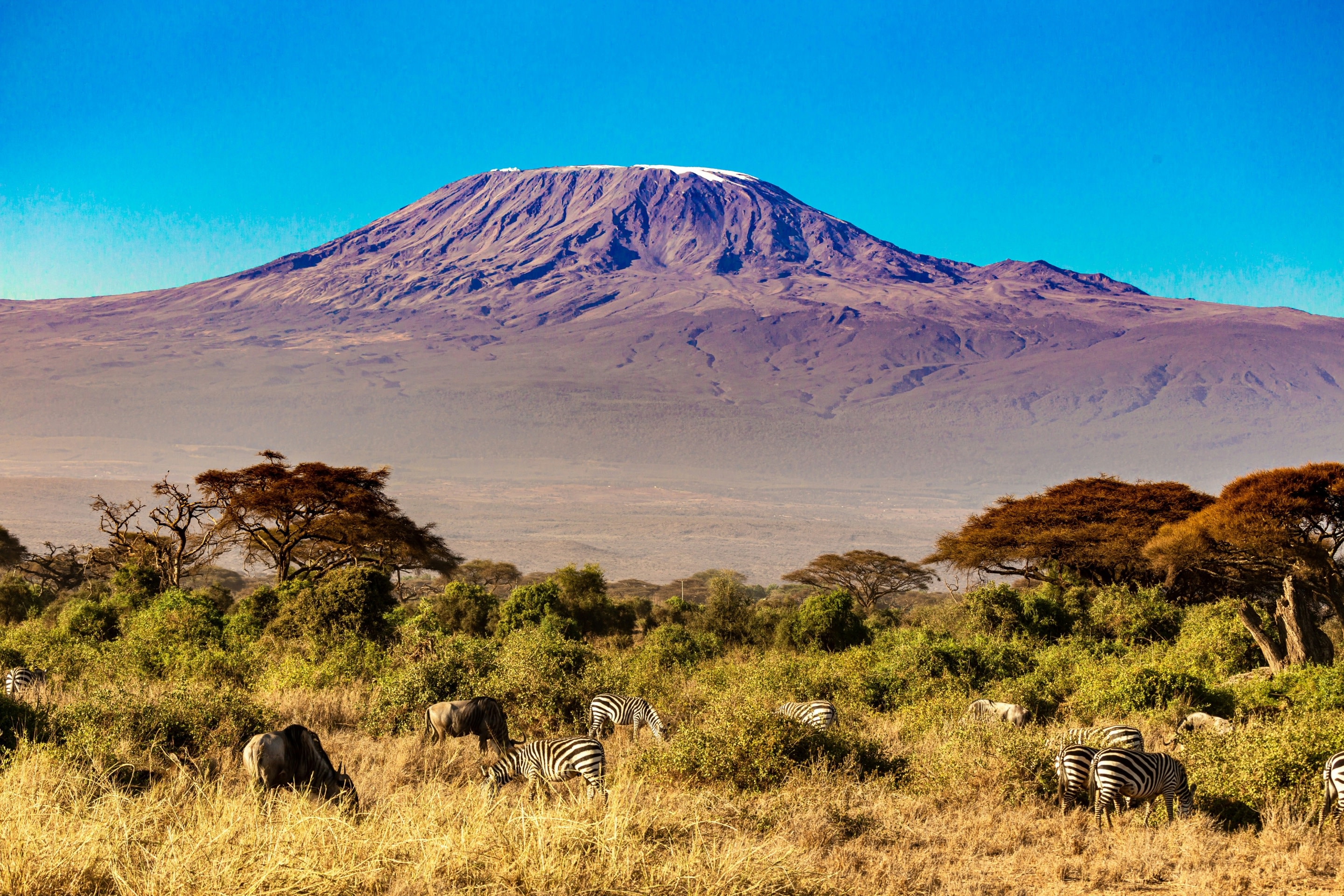 Amboseli National Park 2-Day Safari Experience