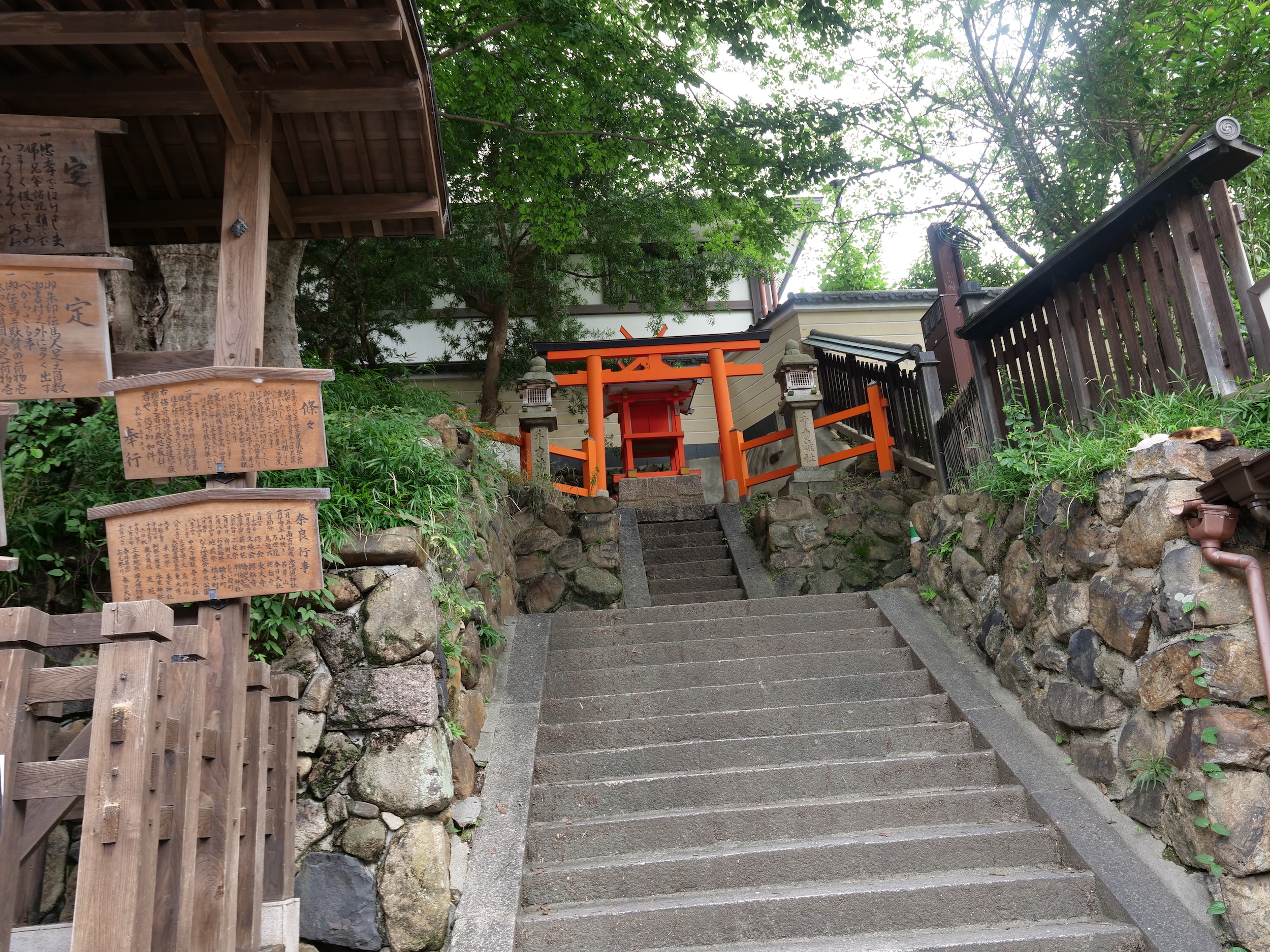 奈良東大寺 & 奈良町半日徒步遊