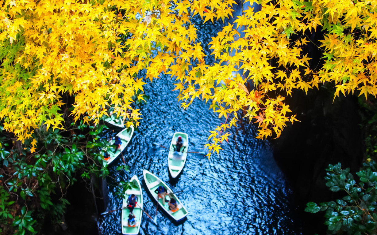 Kumamoto Aso & Takachiho Gorge Day Trip Nature Tour