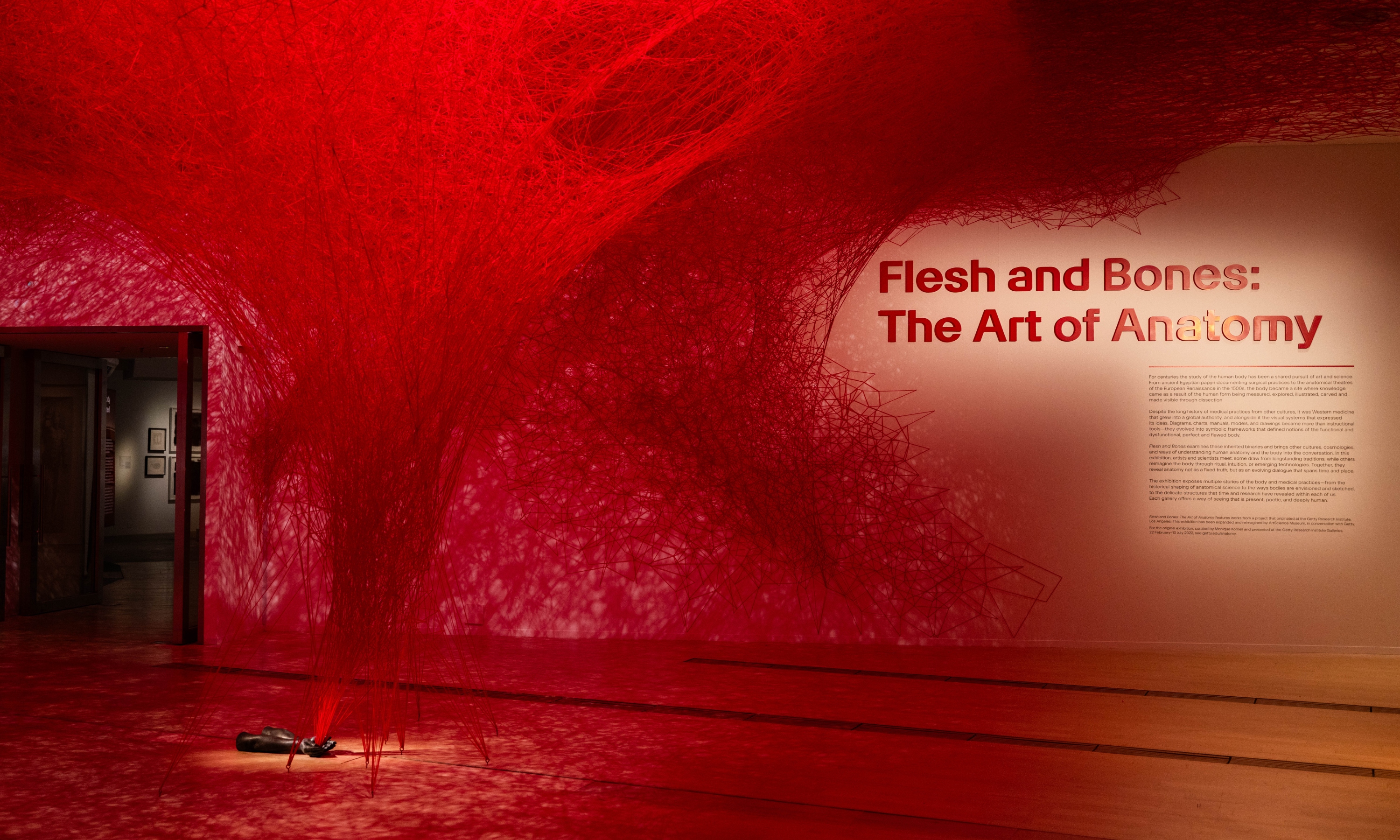 入口——內在網路(2026),鹽田千春作 入口——內在網路(2026),鹽田千春作