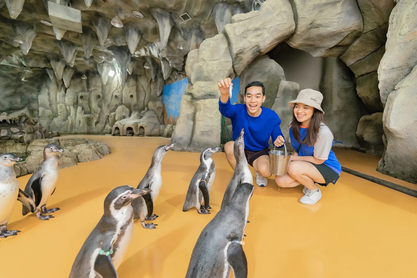 在企鵝展區與企鵝互動，享受歡樂又富含教育意義的時刻