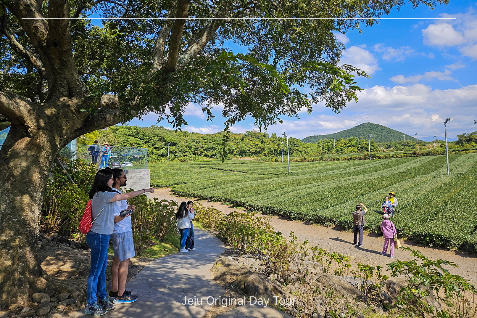 Jeju UNESCO Original Day Tour with local lunch included