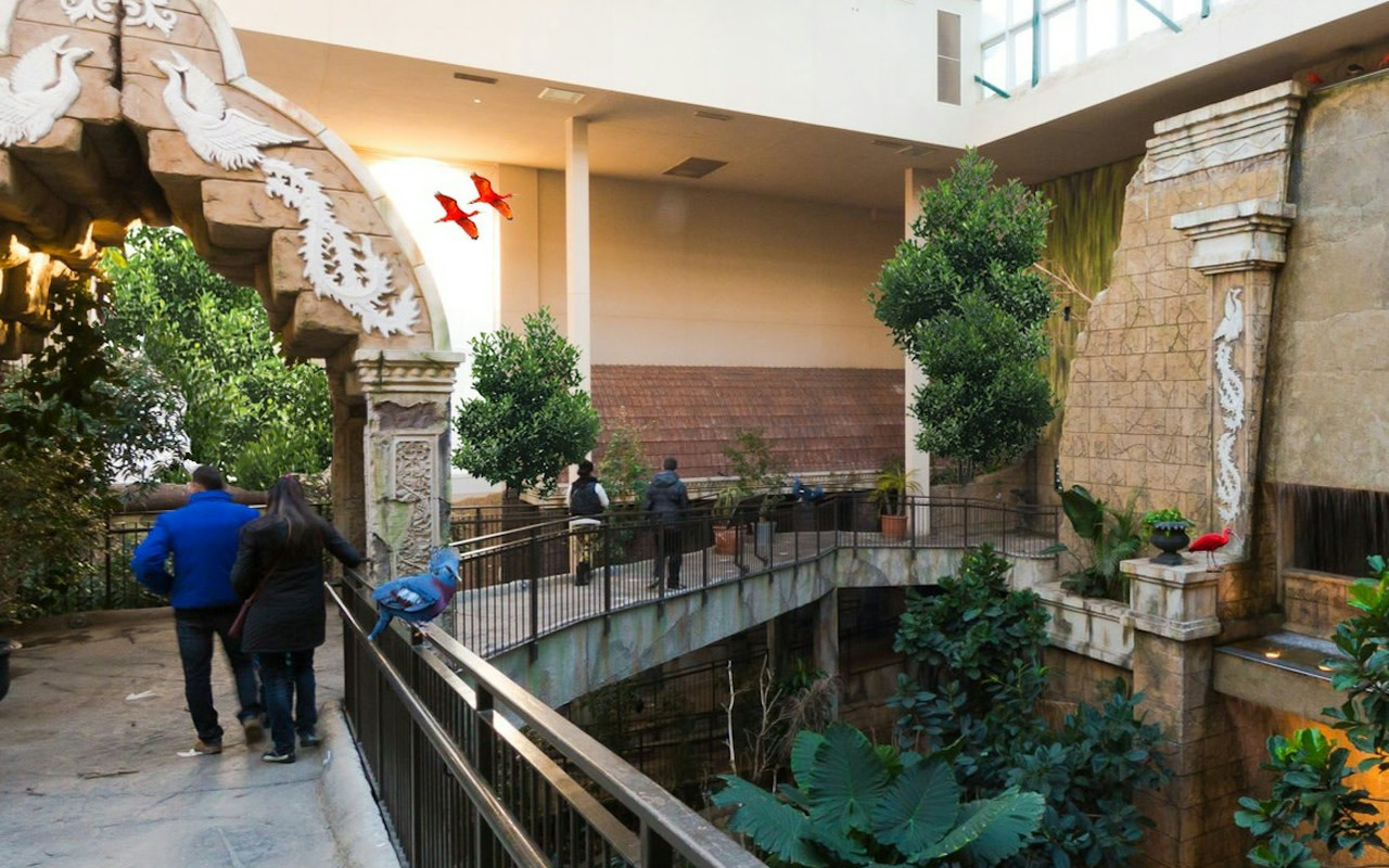 漫步於鬱鬱蔥蔥的小徑，沉浸在壯麗鳥兒們的繽紛王國中。