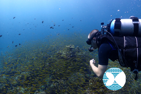 ライセンスなし トライスキューバダイビング（ピピ島 / PADI Dive Center提供）