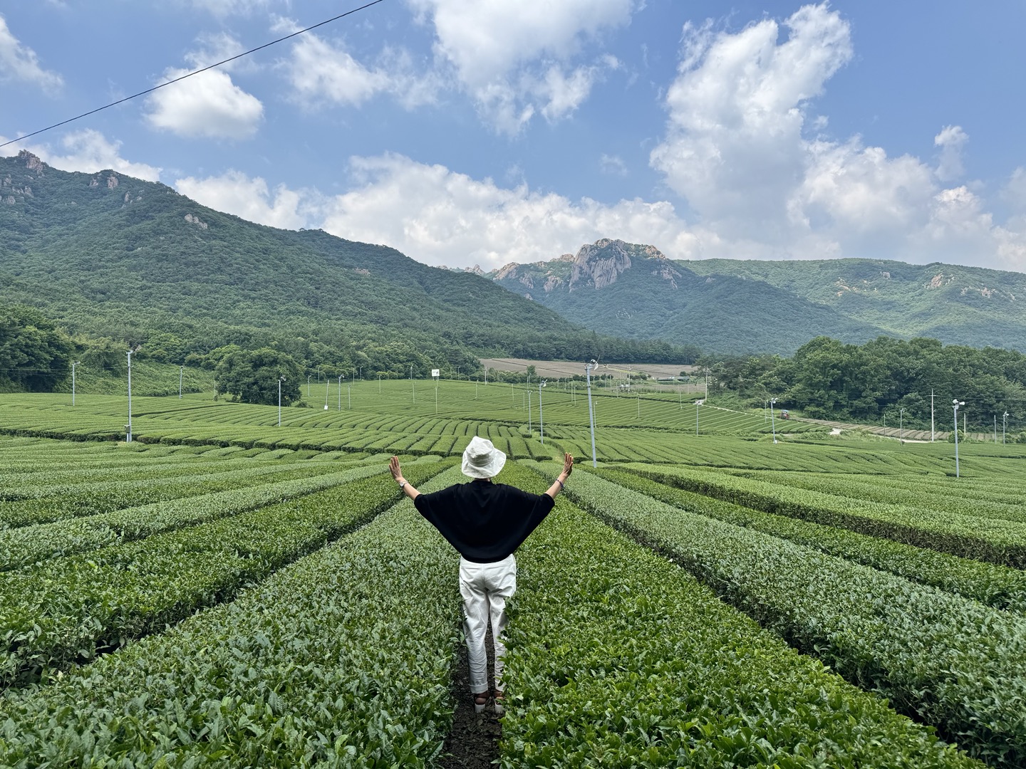 韓國光州出發 - 寶城 & 康津綠茶一日遊